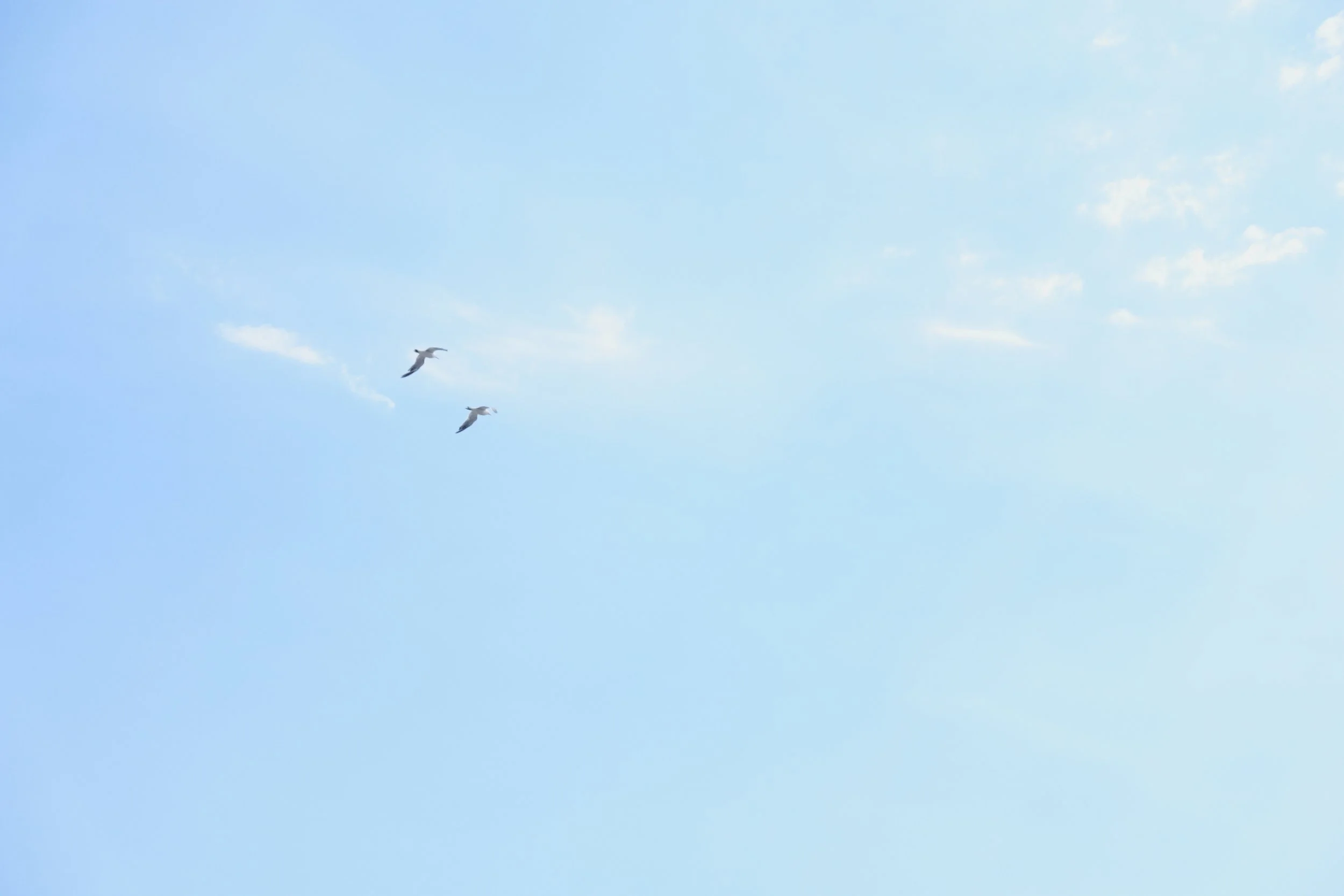 Enoshima, Japan, 2018