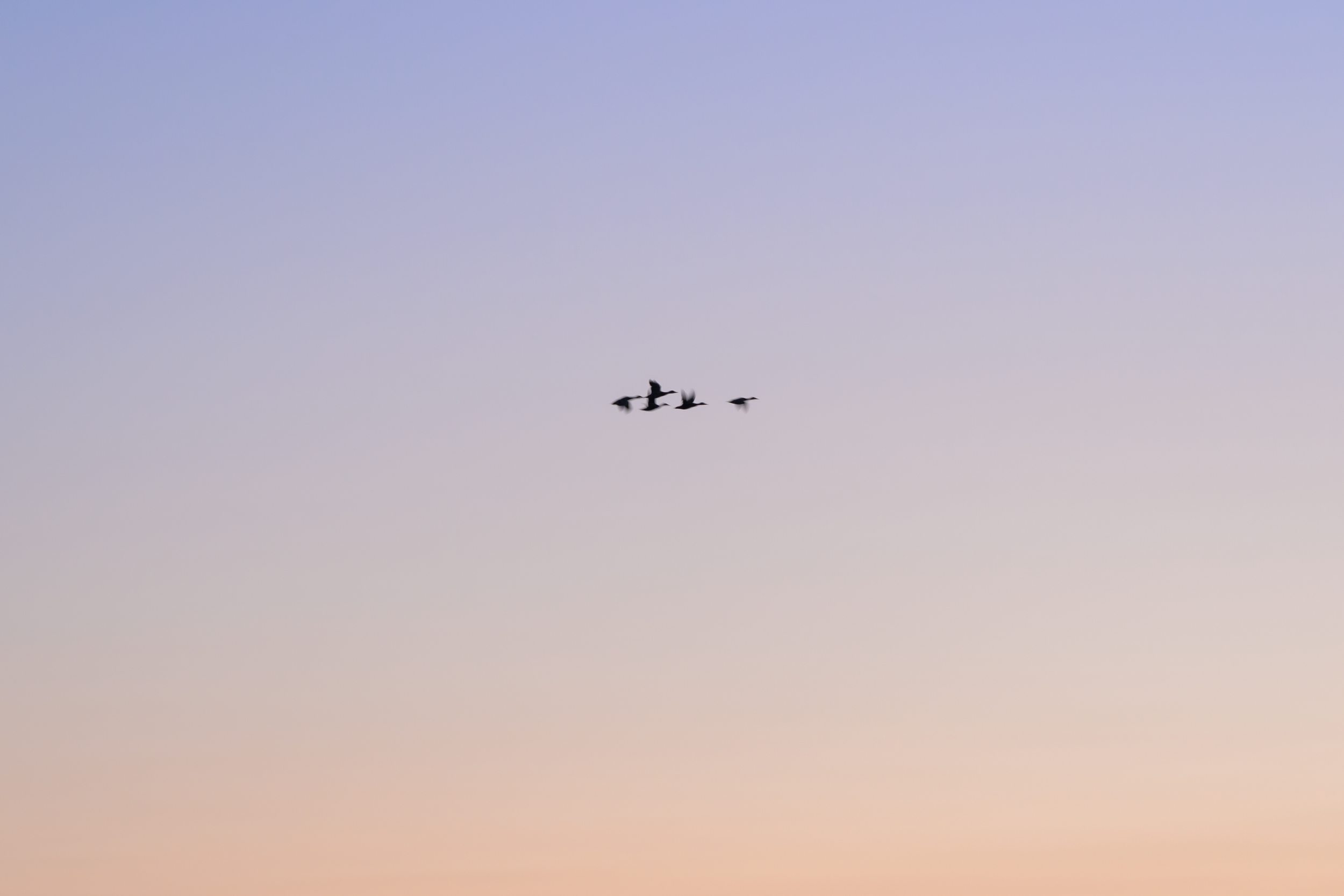 Vancouver 2024 27.png