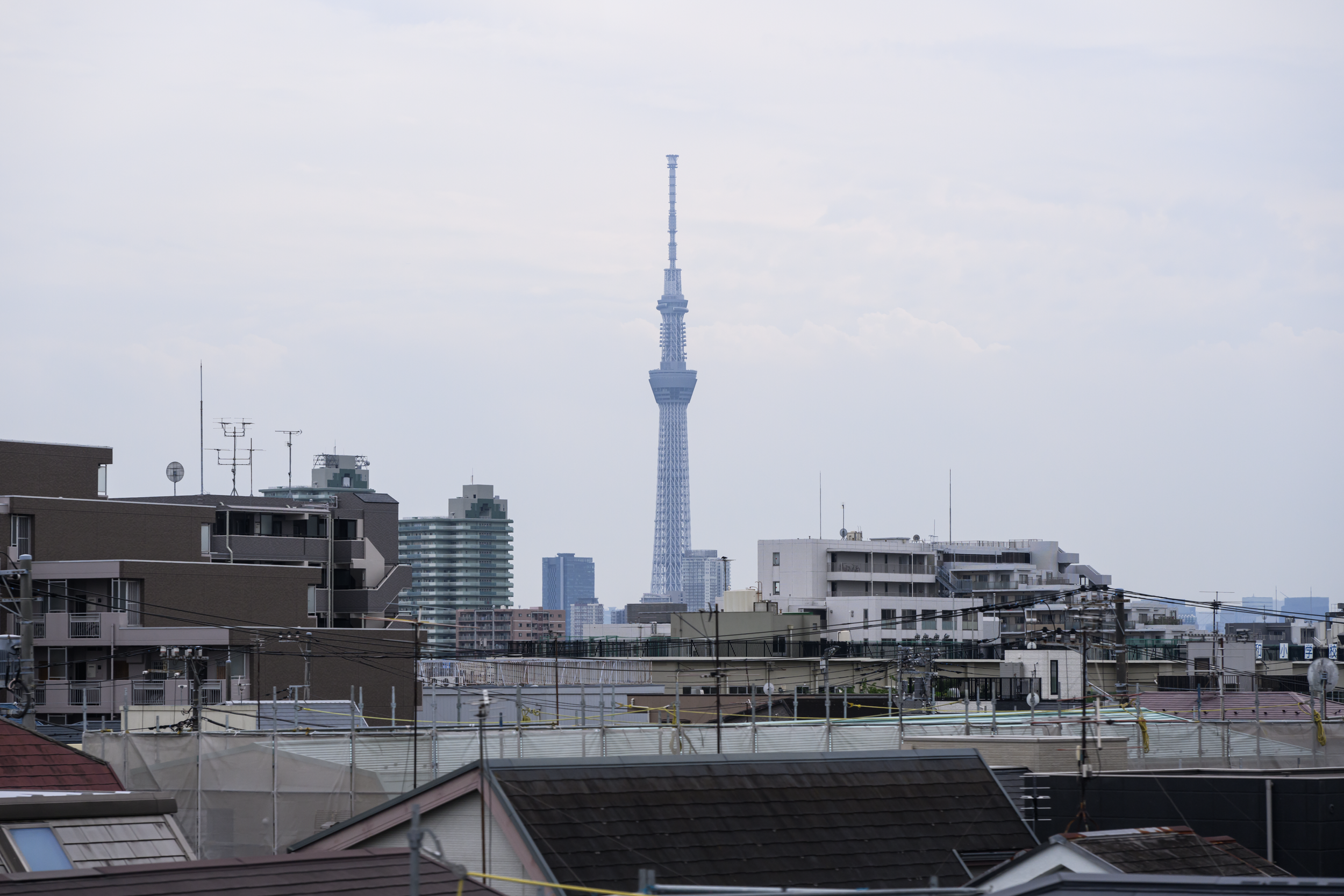 CFD Tokyo 2024 23.png