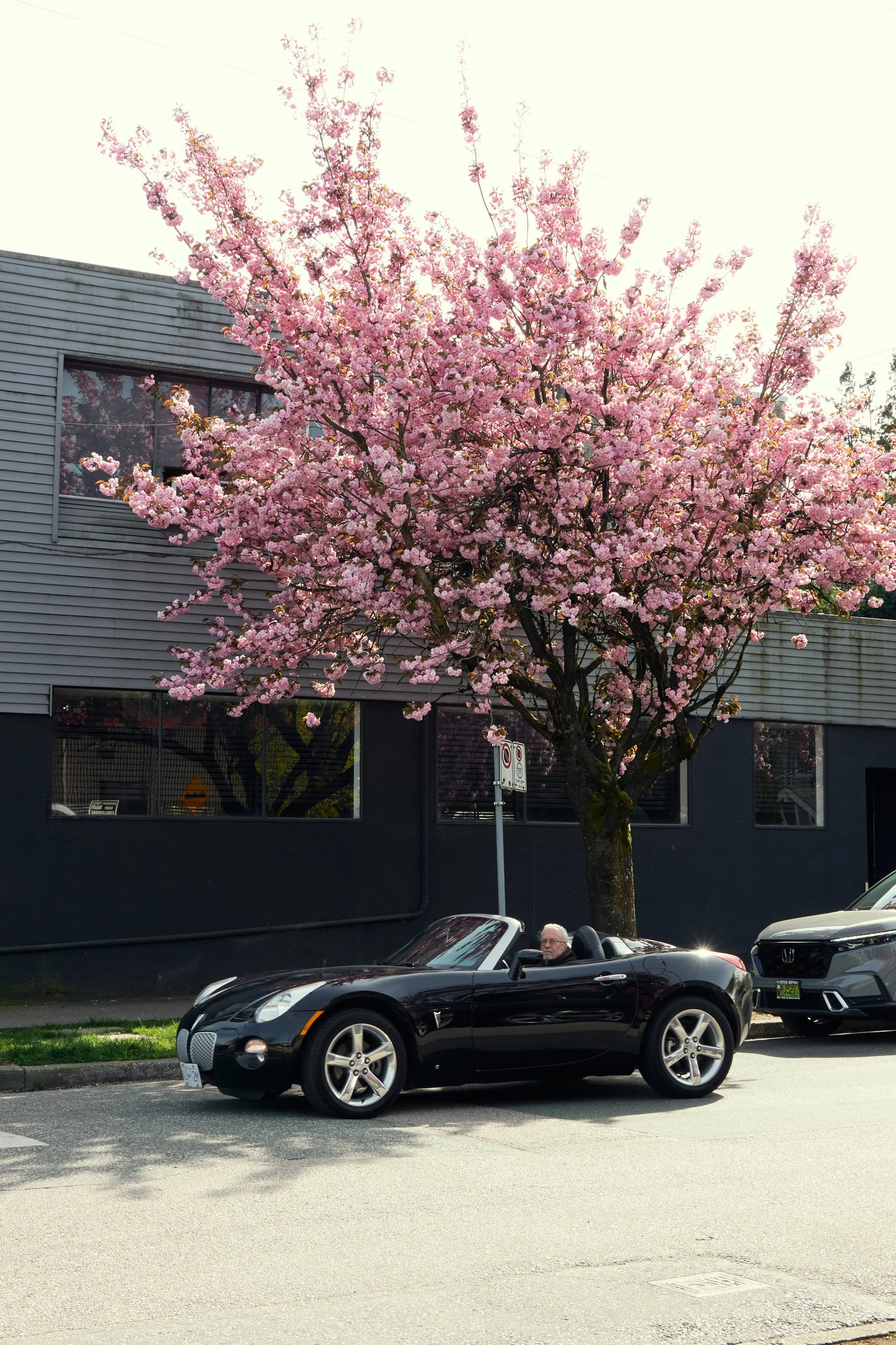 Spring, Vancouver, BC