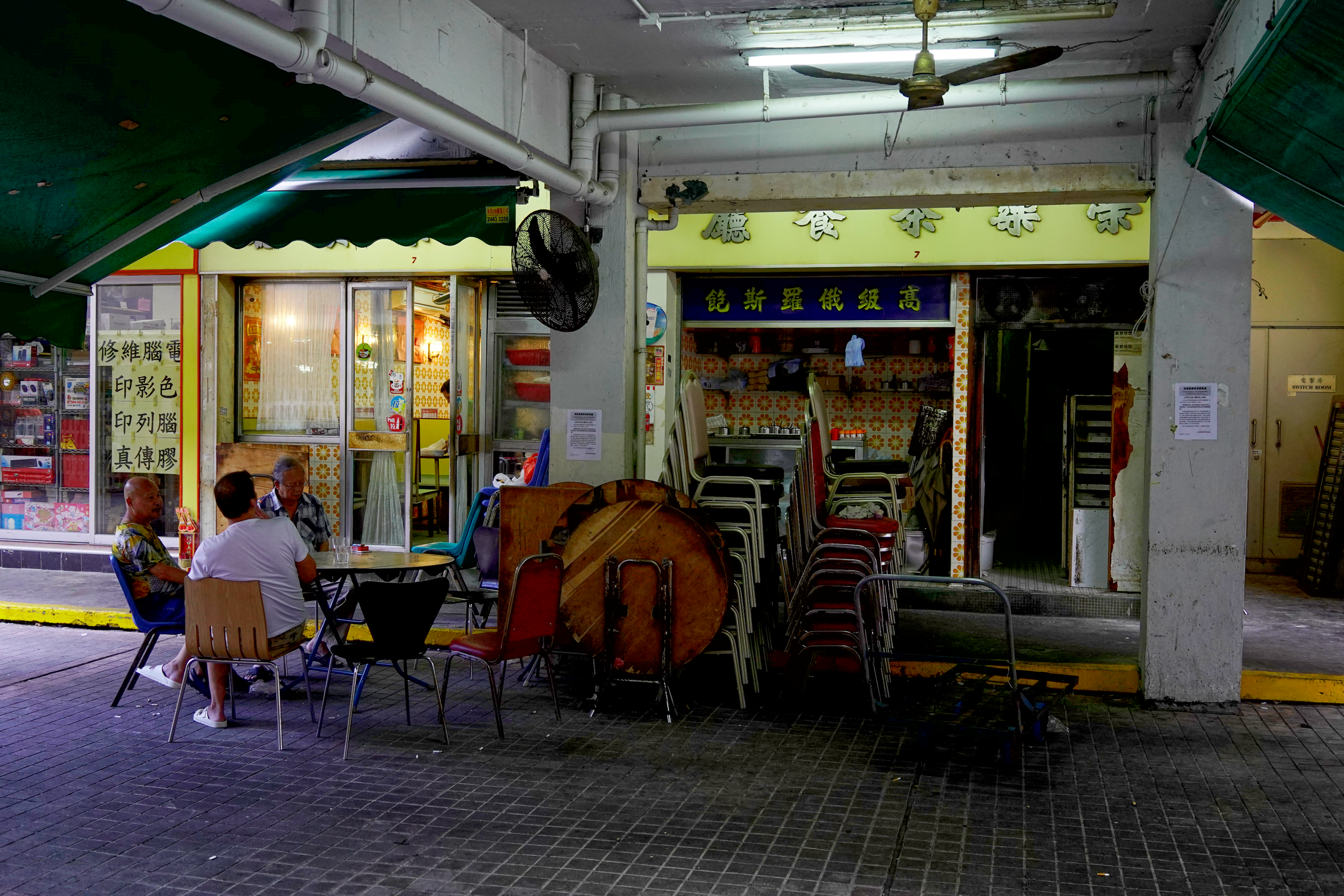 沙田 Sha Tin, 香港 Hong Kong, 2018