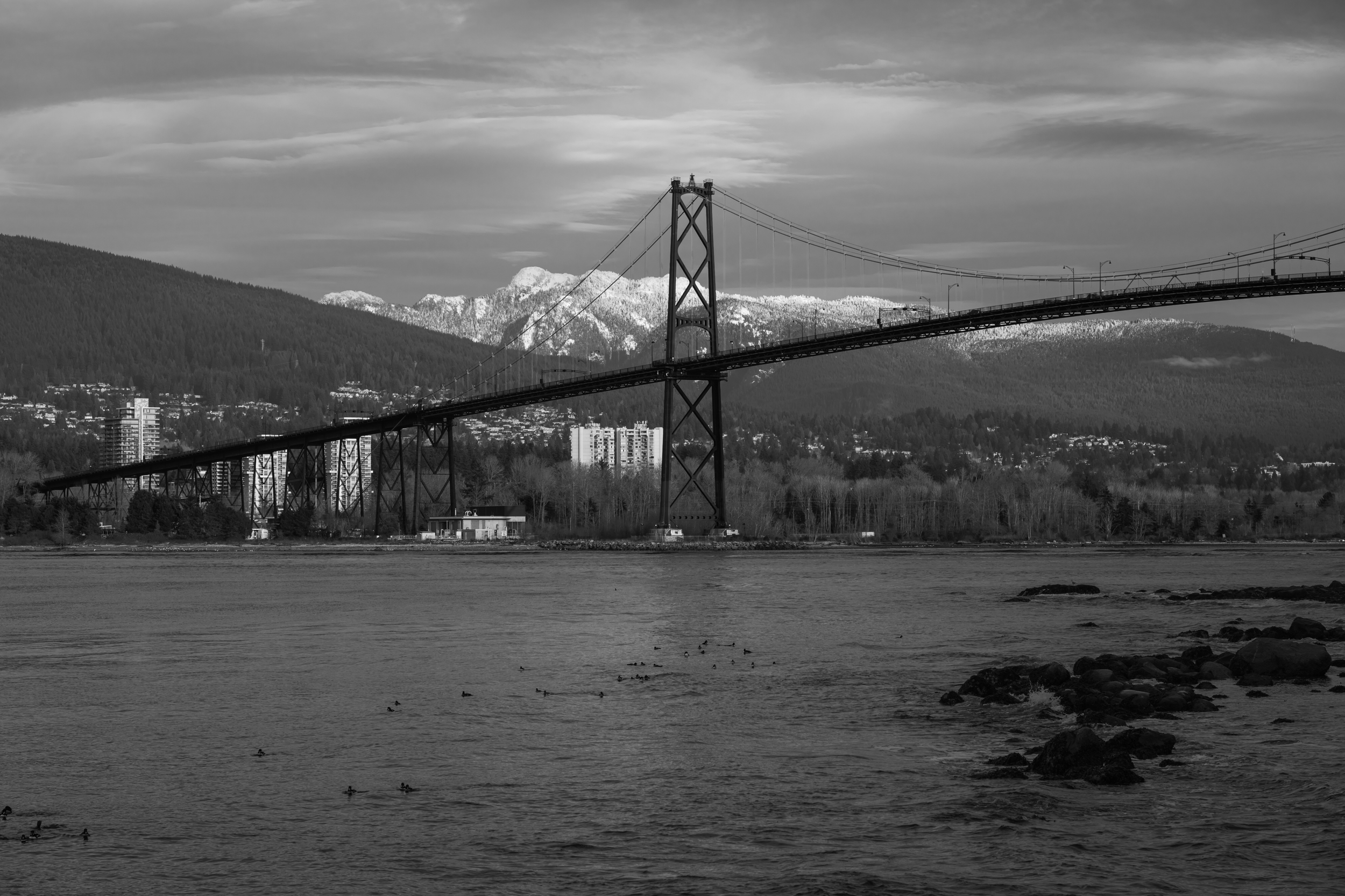 CFD Vancouver 2025 53.png