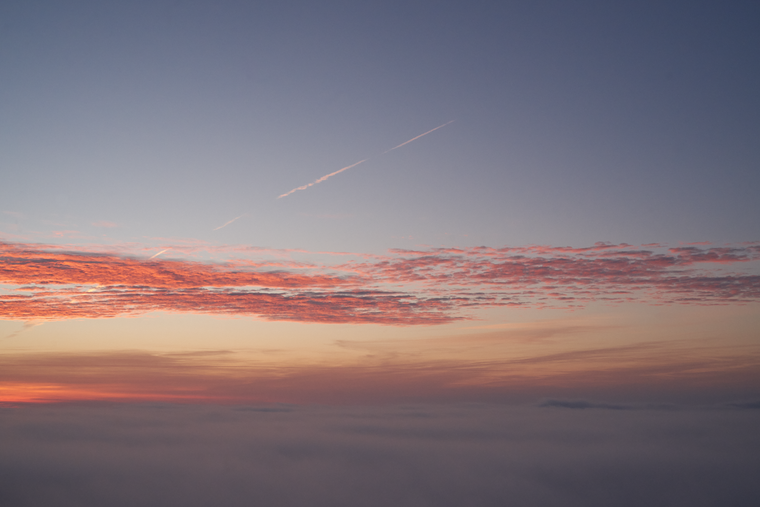 CFD Toronto 2022 10.png