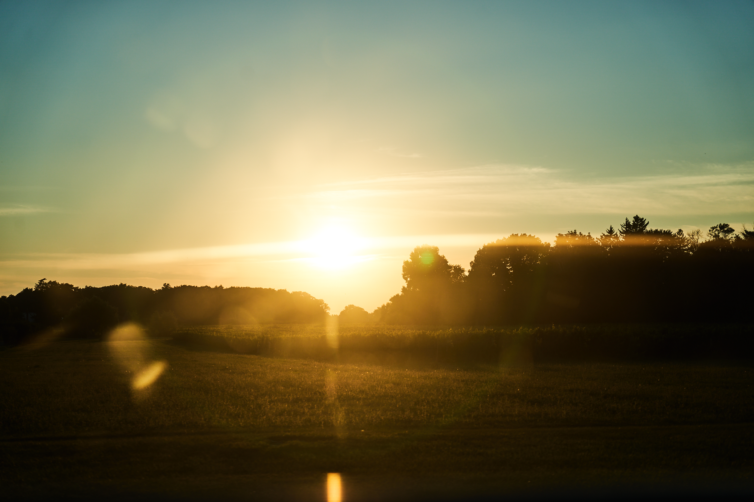 CFD Toronto 2022 4.png