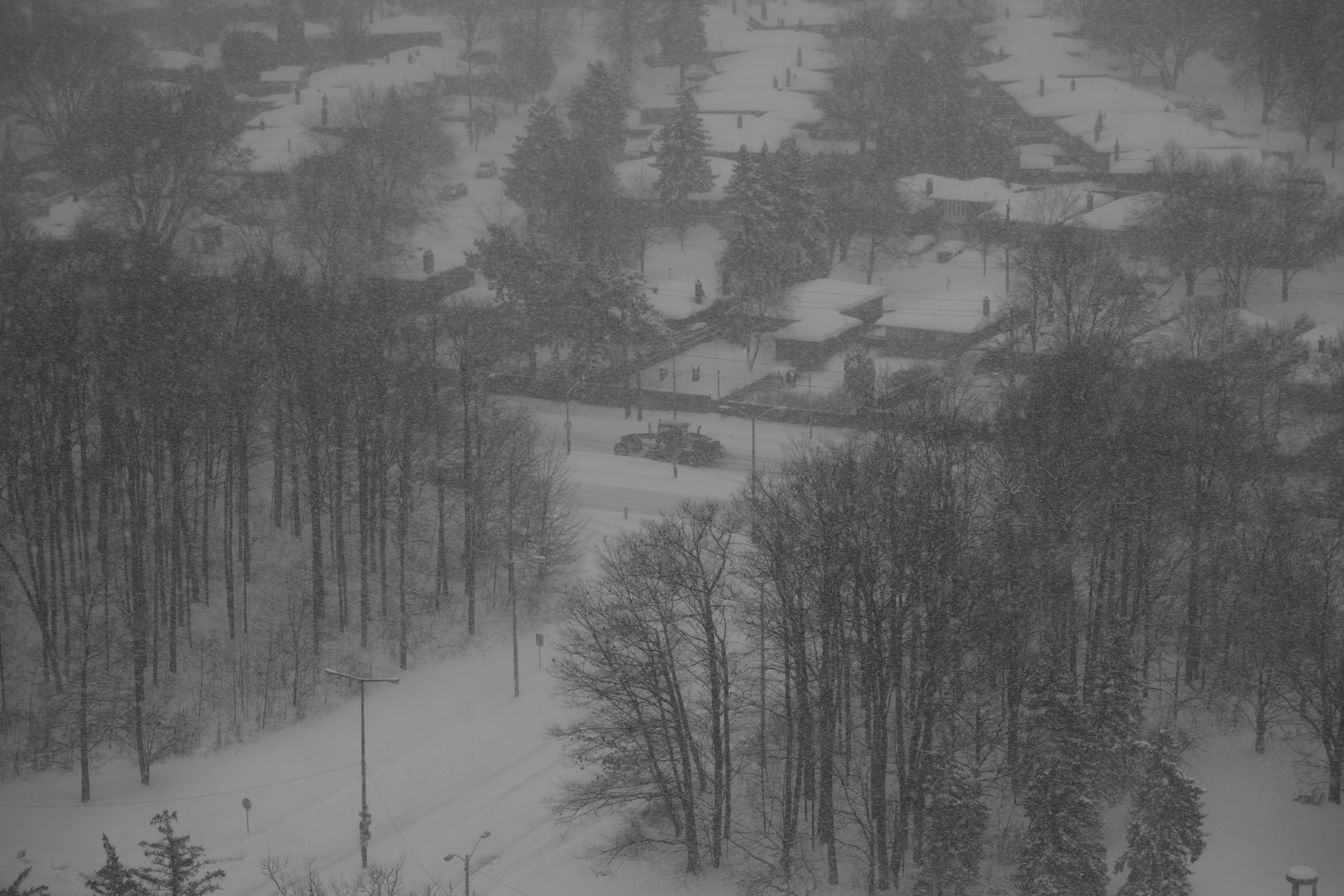 CFD Toronto 2025 11 BW.png