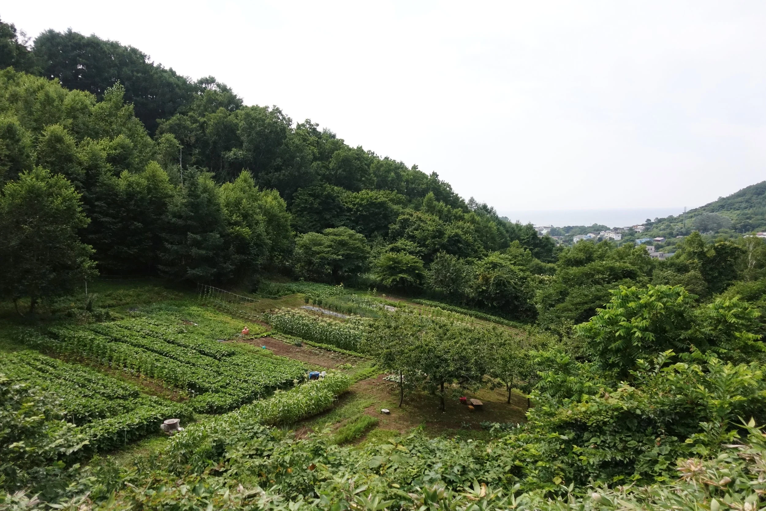 Yoichi, Hokkaido, Japan, 2017