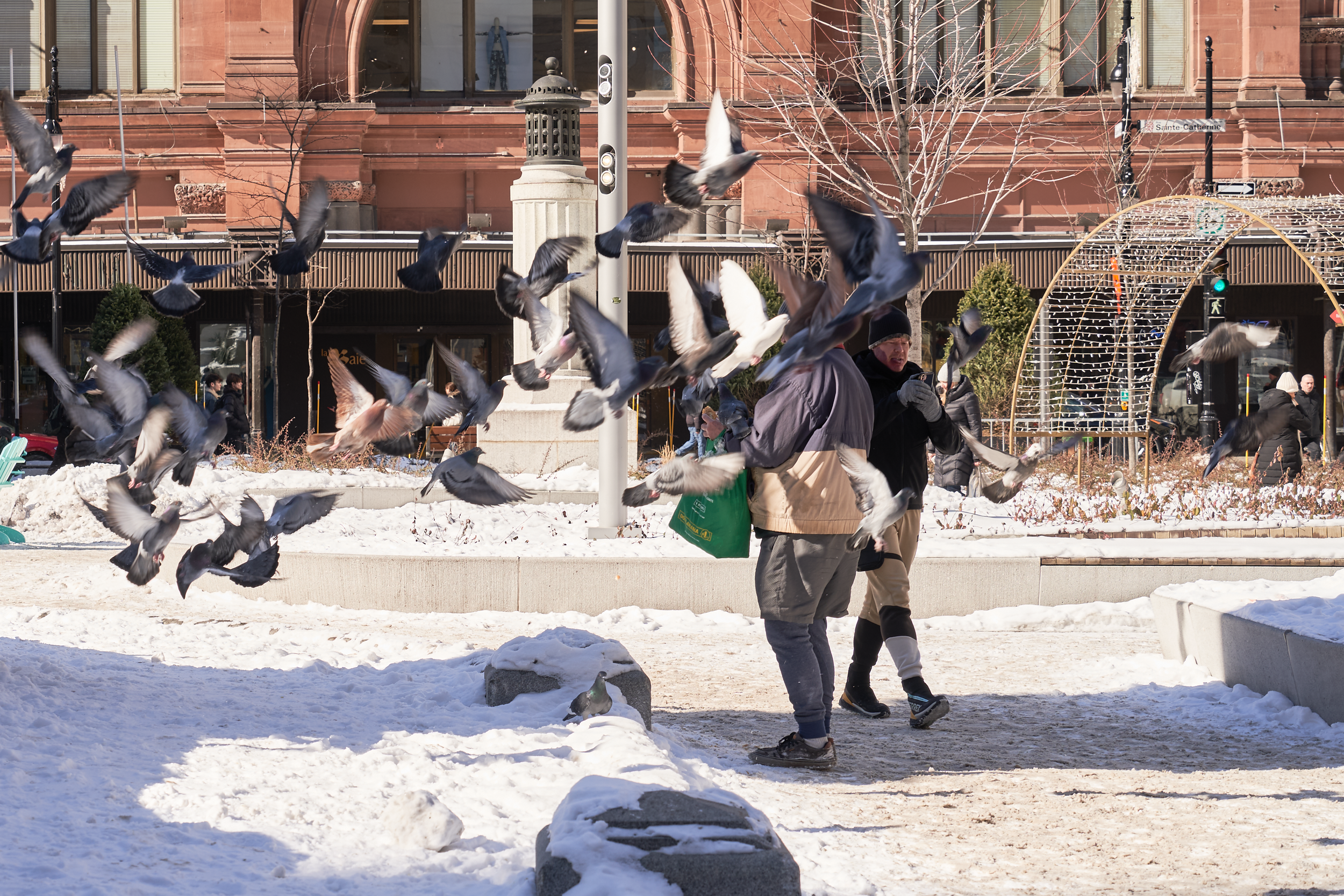 CFD Montréal 2024 5.png