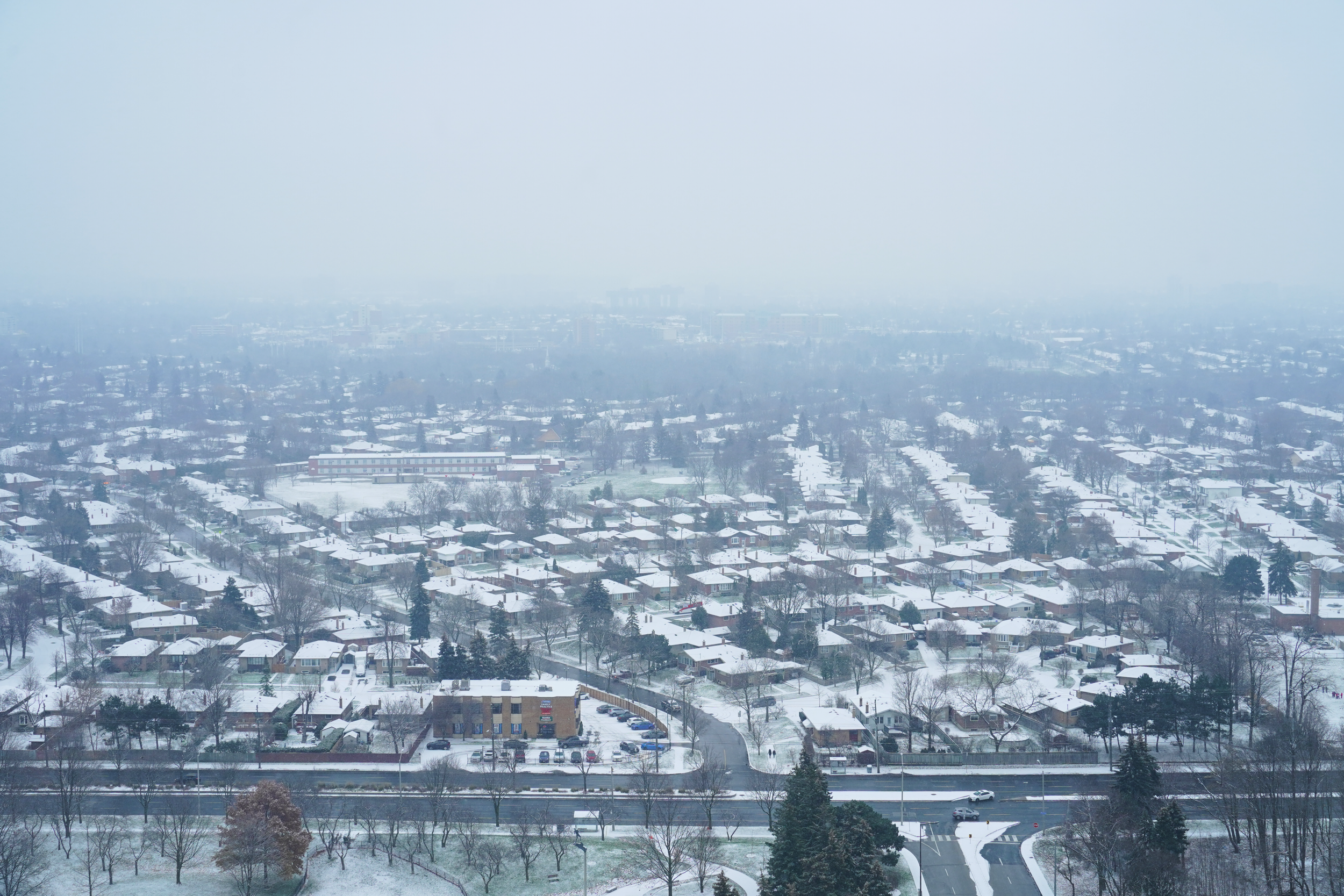 CFD Toronto 2021 1.png