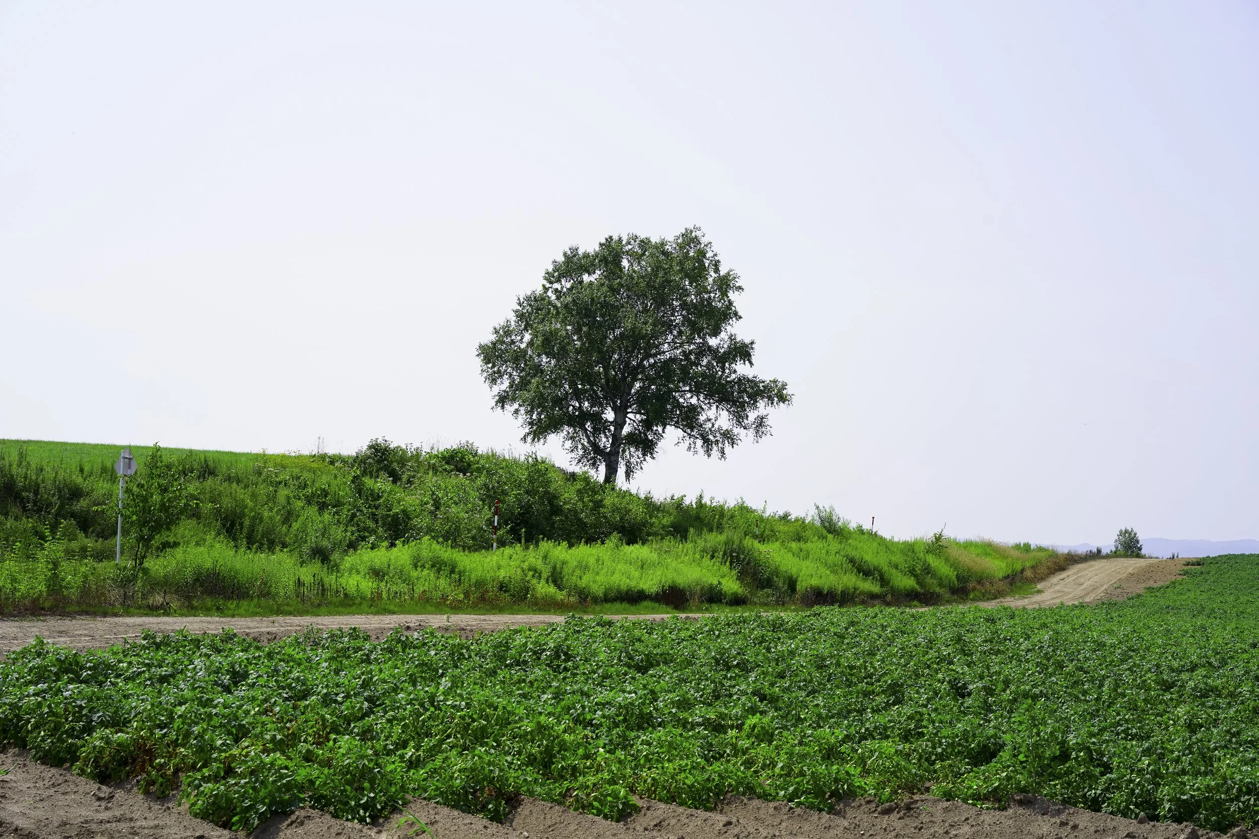 Biei Cho, Hokkaido, Japan, 2019