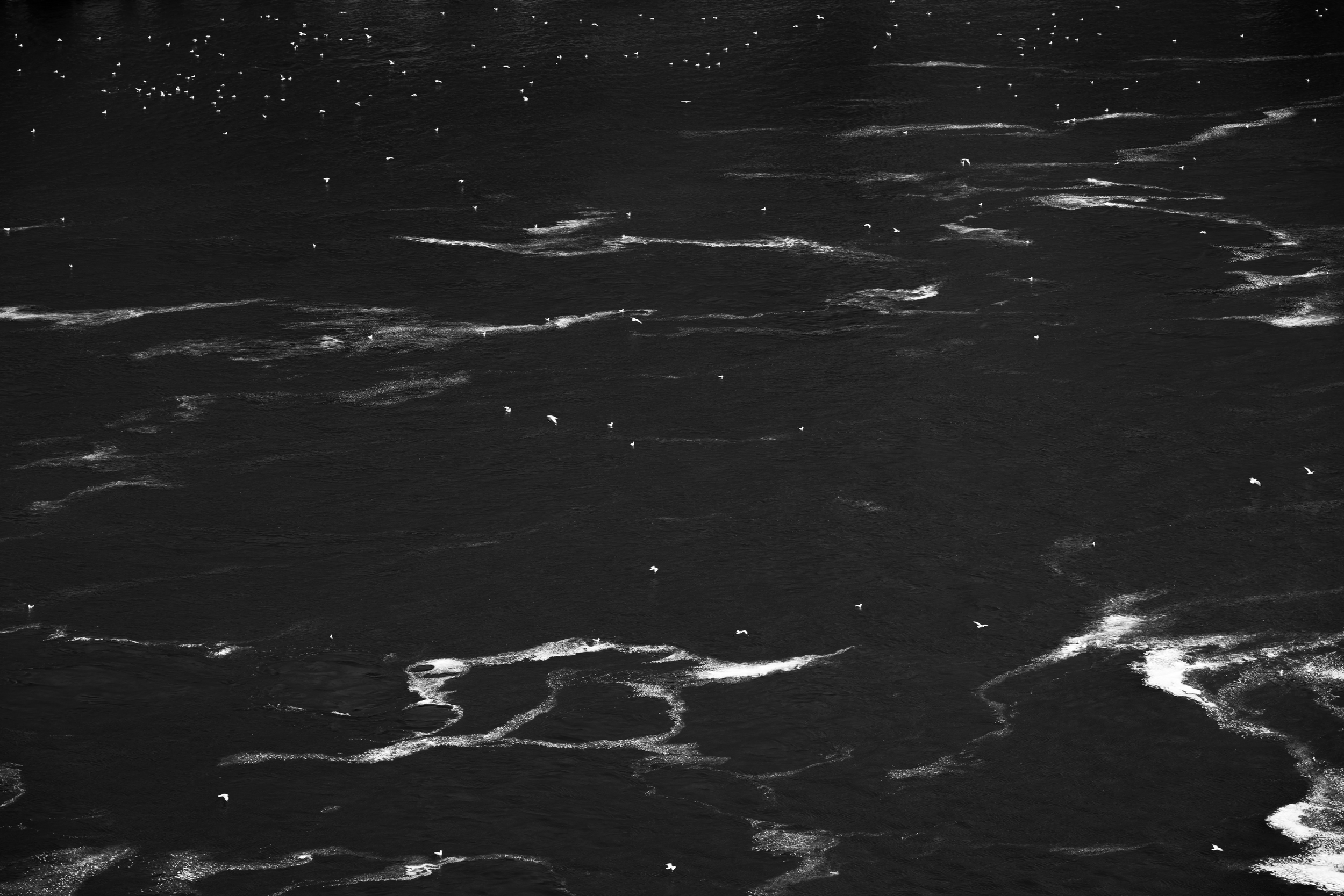 CFD Toronto 2025 27.png