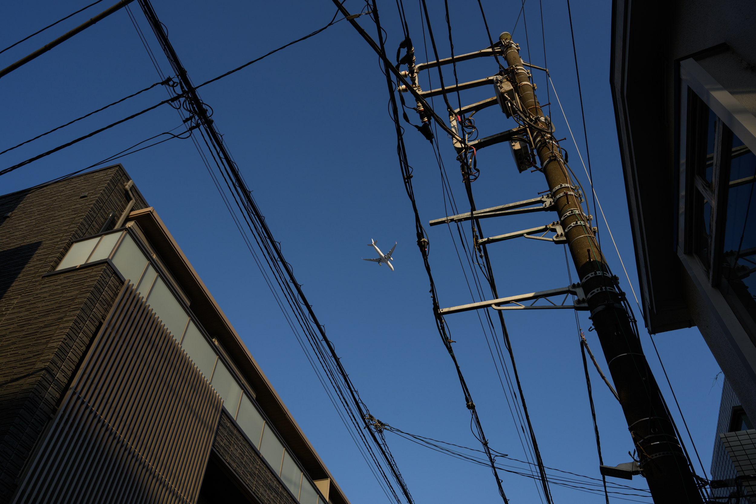 CFD Tokyo 2024 18.png