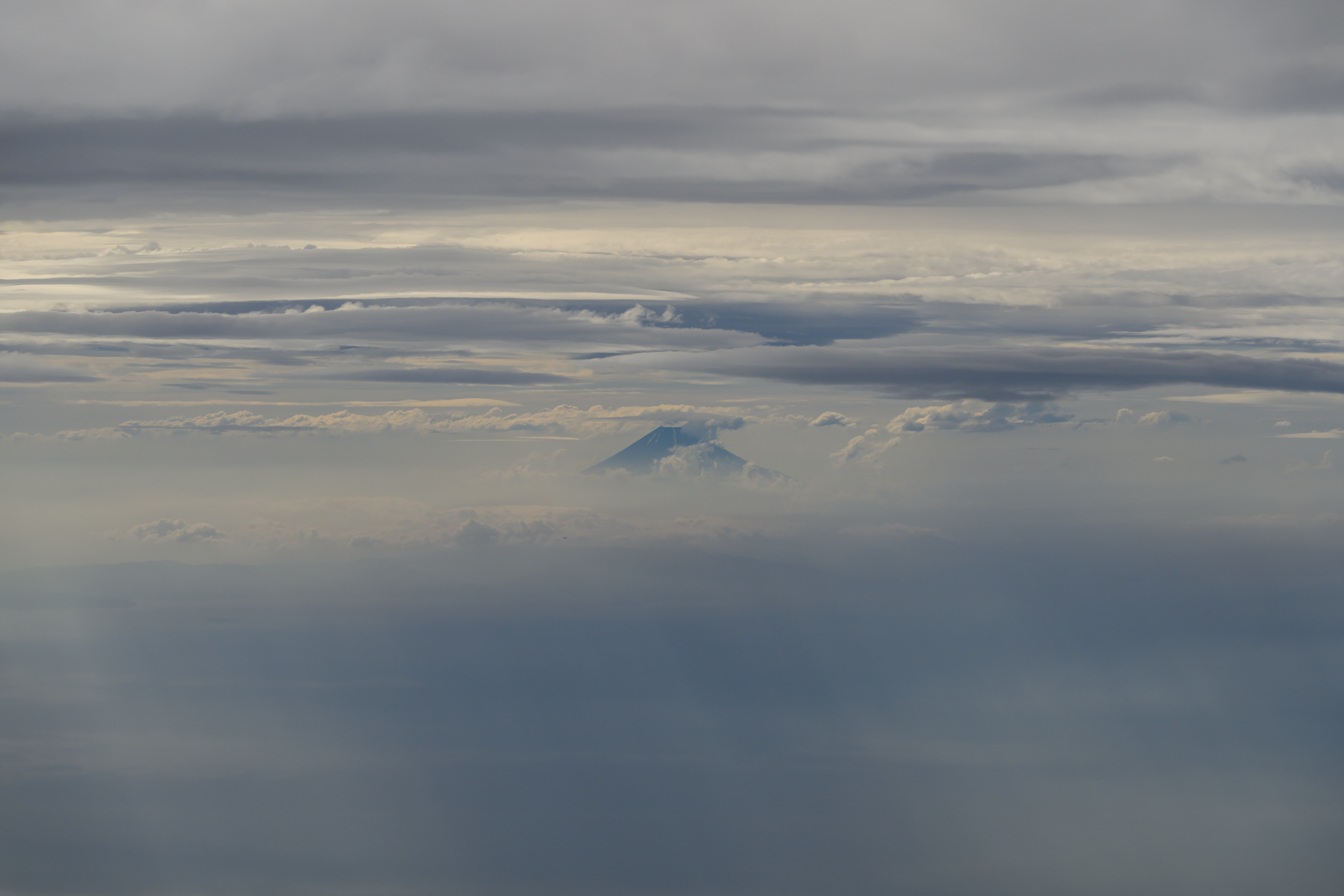 CFD Tokyo 2024 1.png