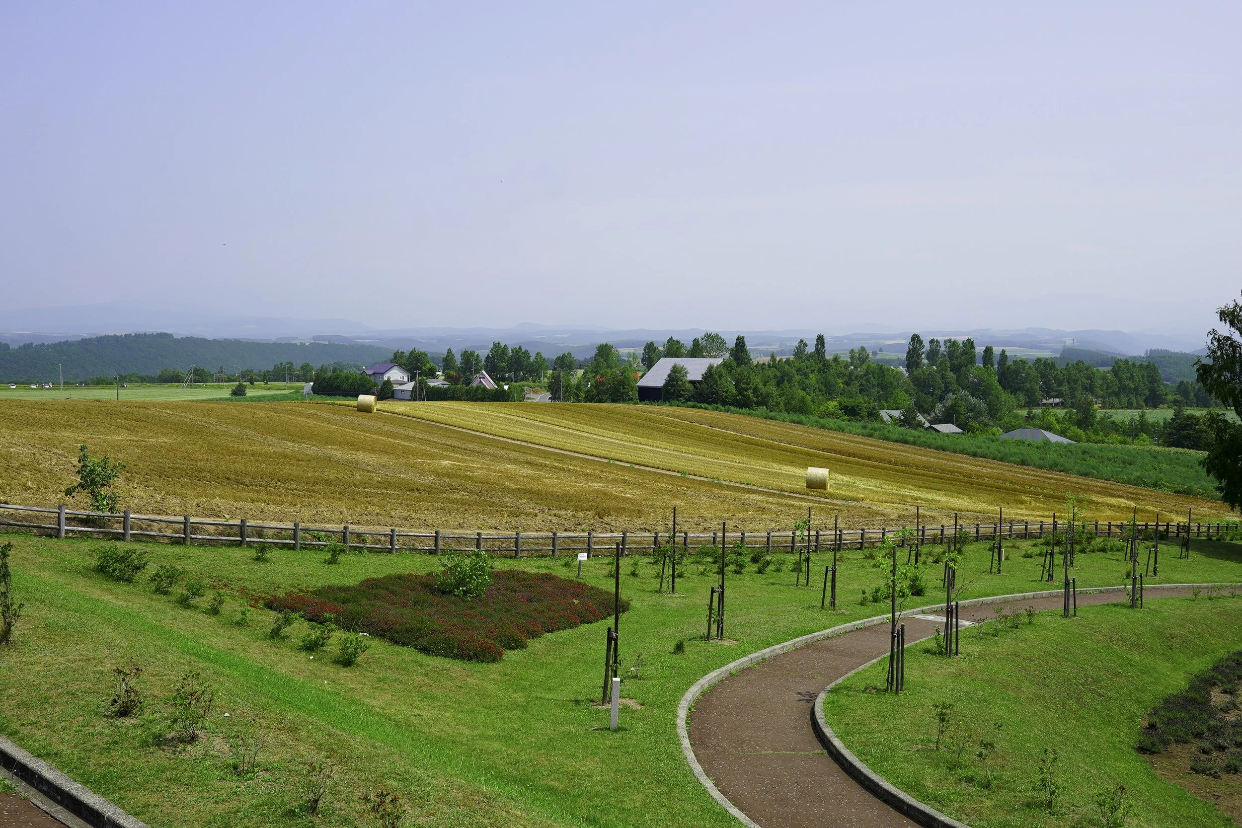 Biei, Hokkaido, Japan, 2019