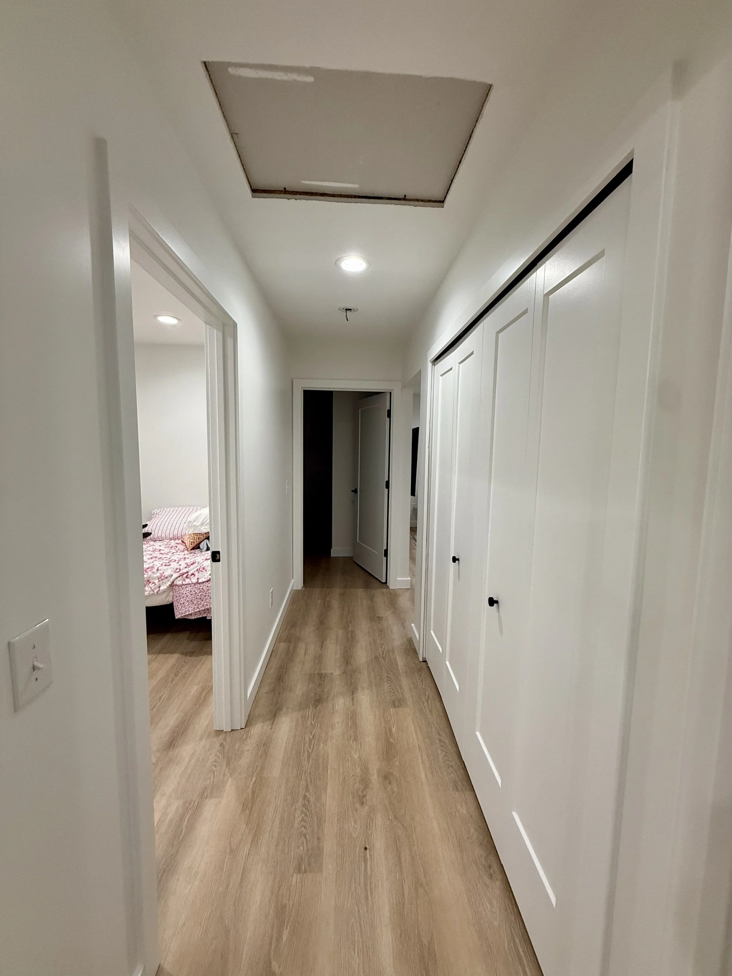 Full repaint of this home. 
ceilings, trim, windows, doors, walls