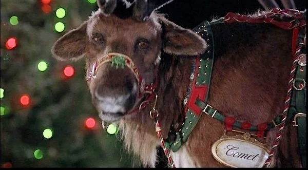 Christmas movie season is almost here! Our favorite is probable The Santa Clause, due to it featuring our favorite reindeer. What&rsquo;s your favorite Christmas movie? 🎥 🎄🍿