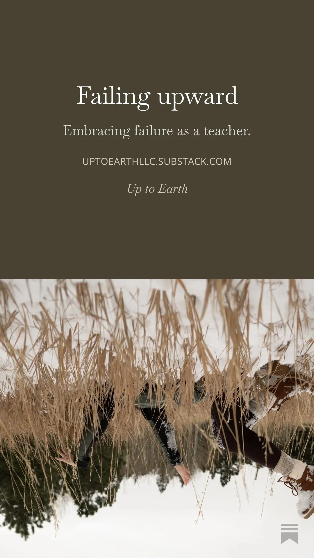 Embracing Failure as a Teacher
