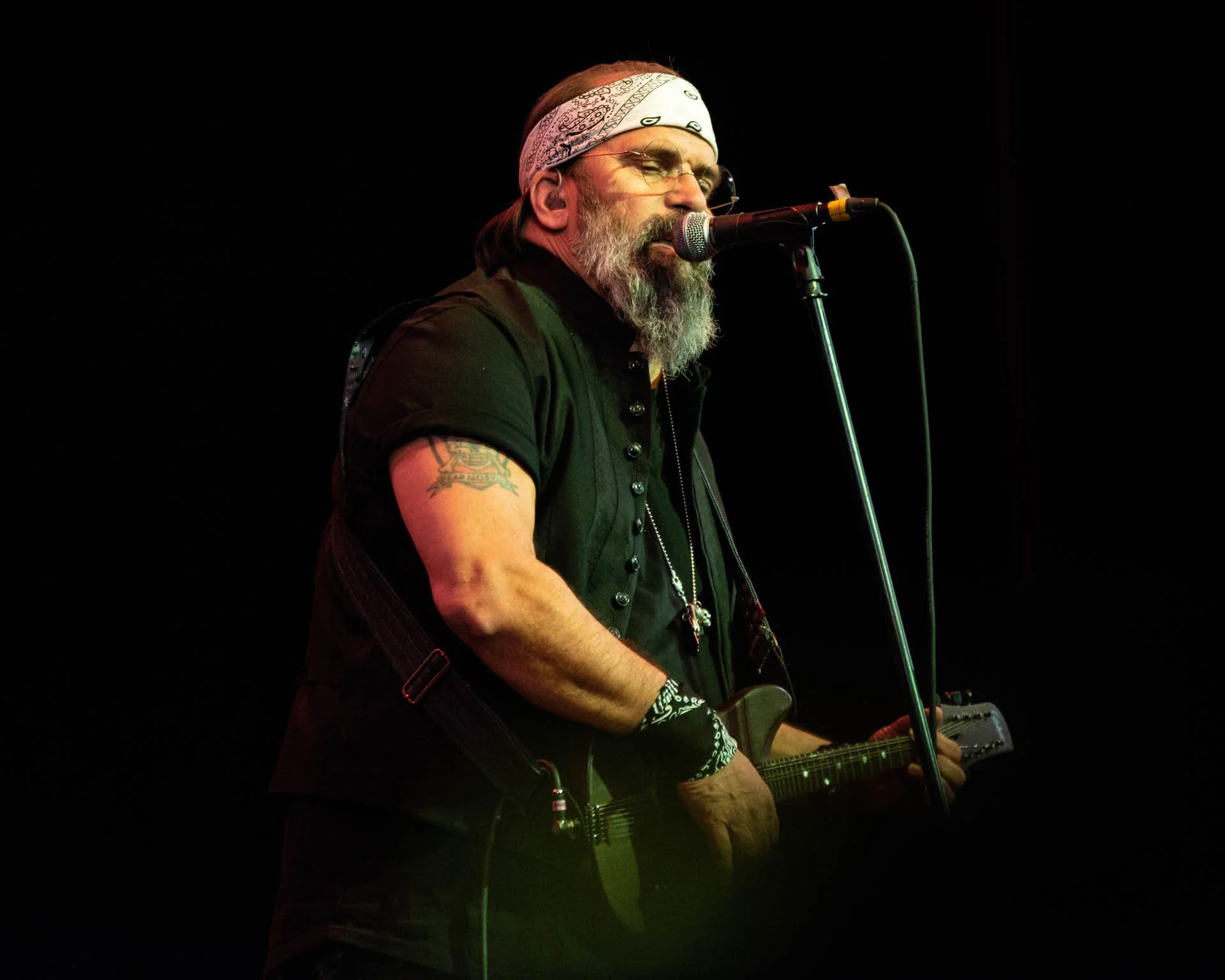 Steve Earle, September 2018