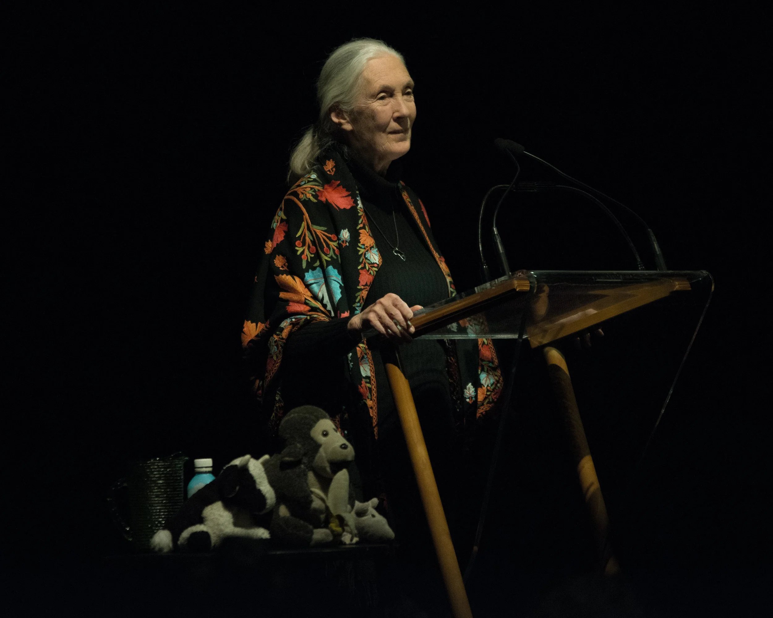 Jane Goodall