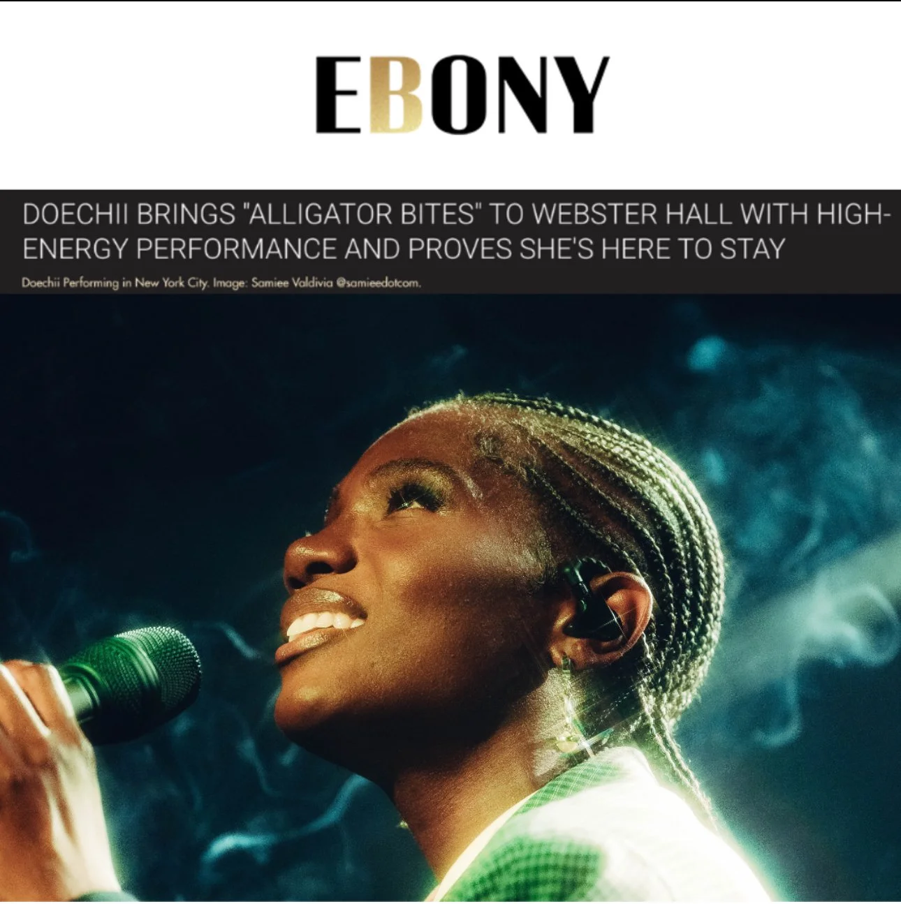 DOECHII Activity Report Q4 - Google Slides 2.jpeg