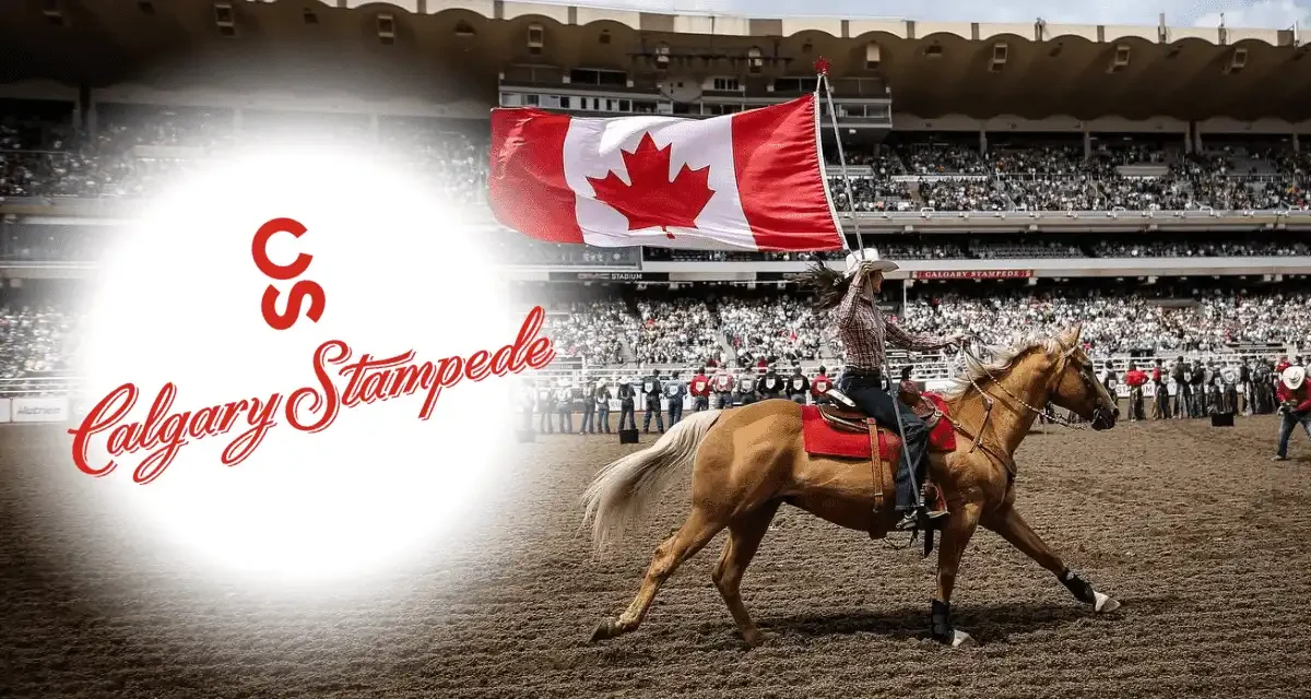 A person riding a horse draped with a Canadian flag at the Calgary Stampede rodeo event, with a packed stadium in the background.