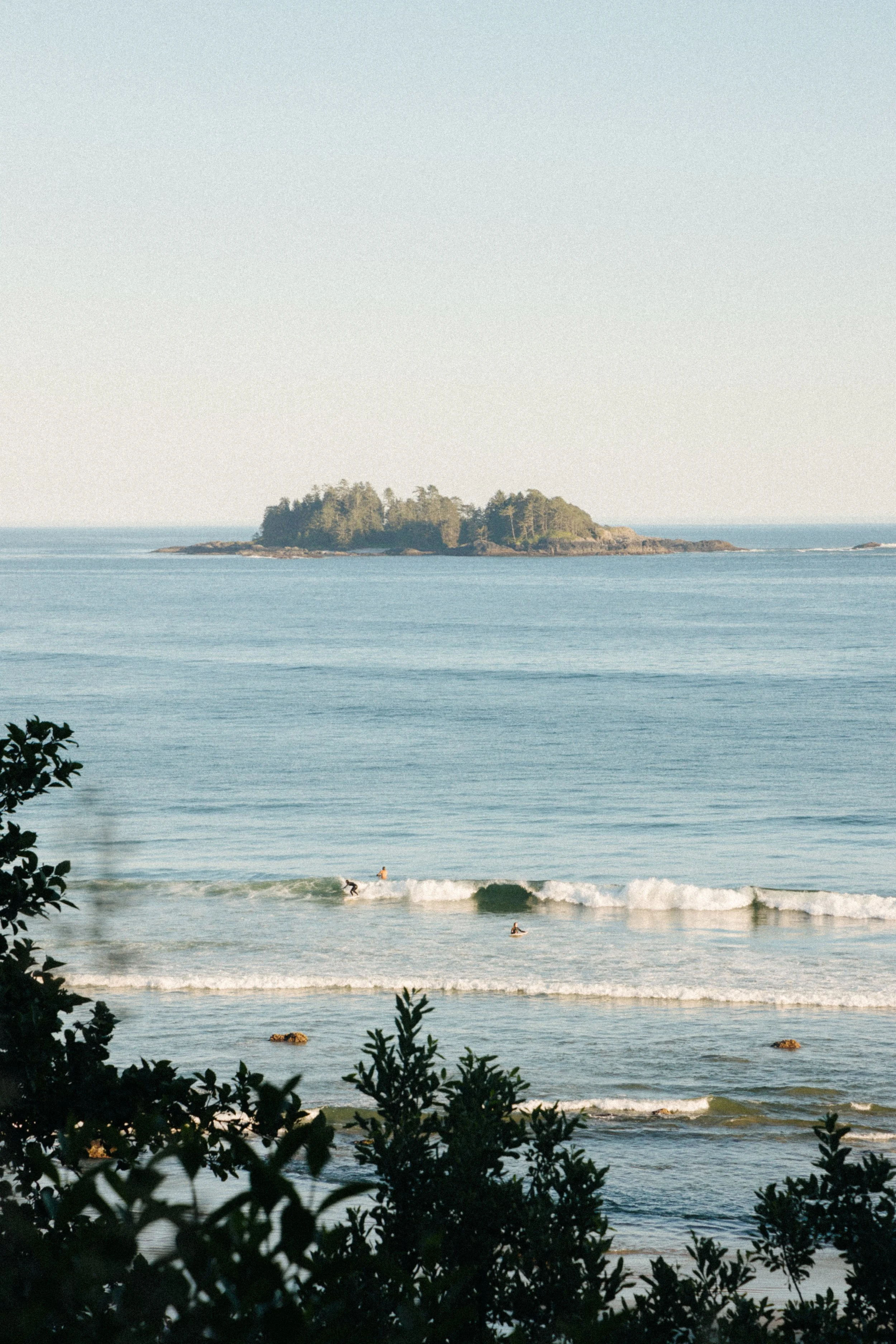 A peaceful ocean scene with an island in the distance and surfers in the water, surrounded by greenery in the foreground.