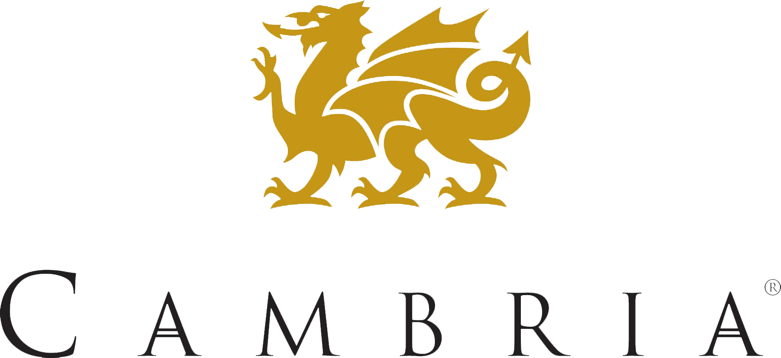 A logo of a gold dragon above the word 'CAMBRIA' in dark gray letters.