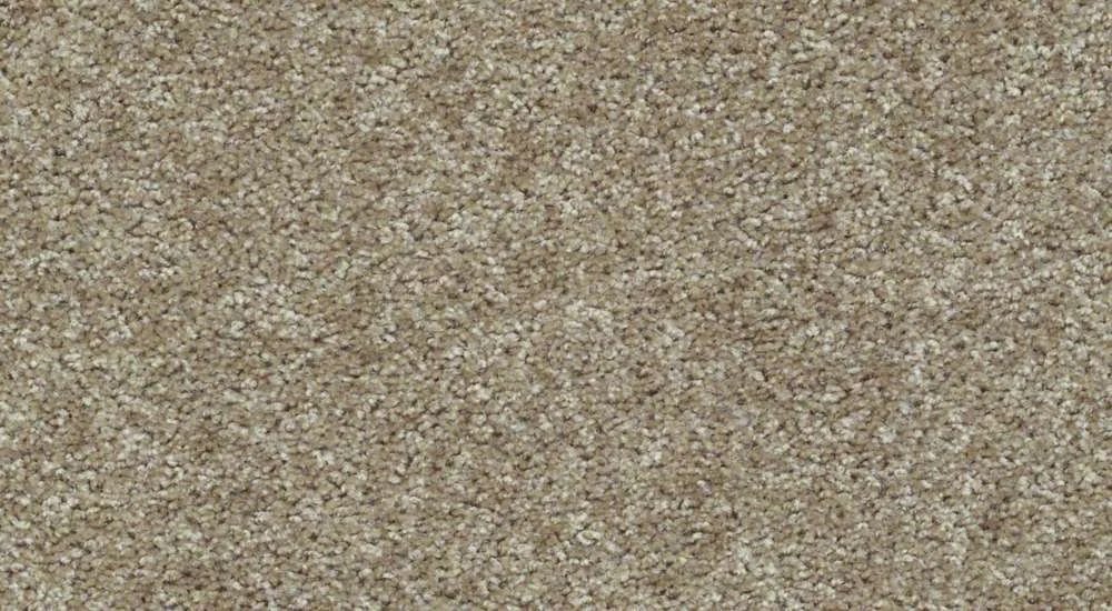Close-up of beige sand.