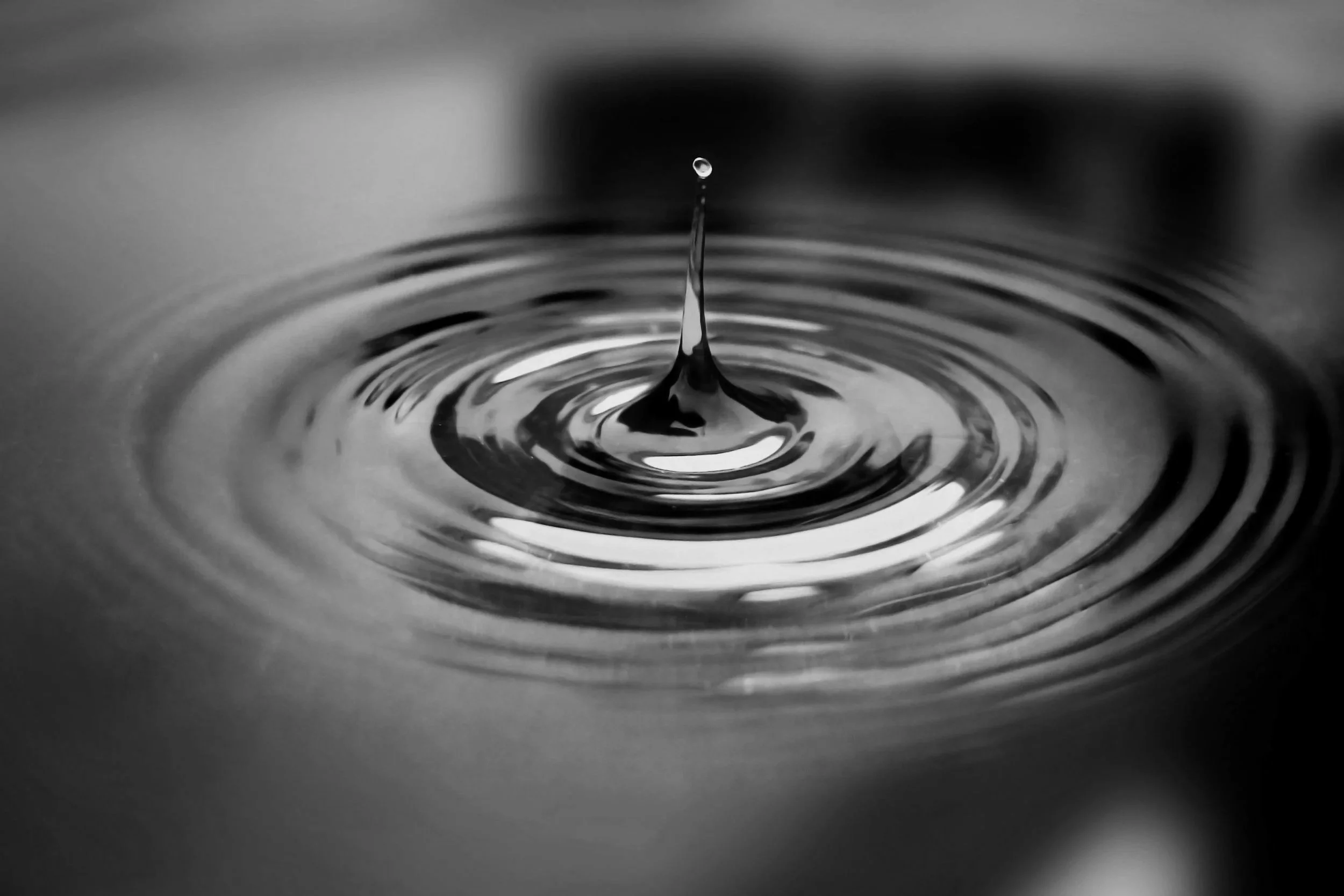 The Art of the Second Thought