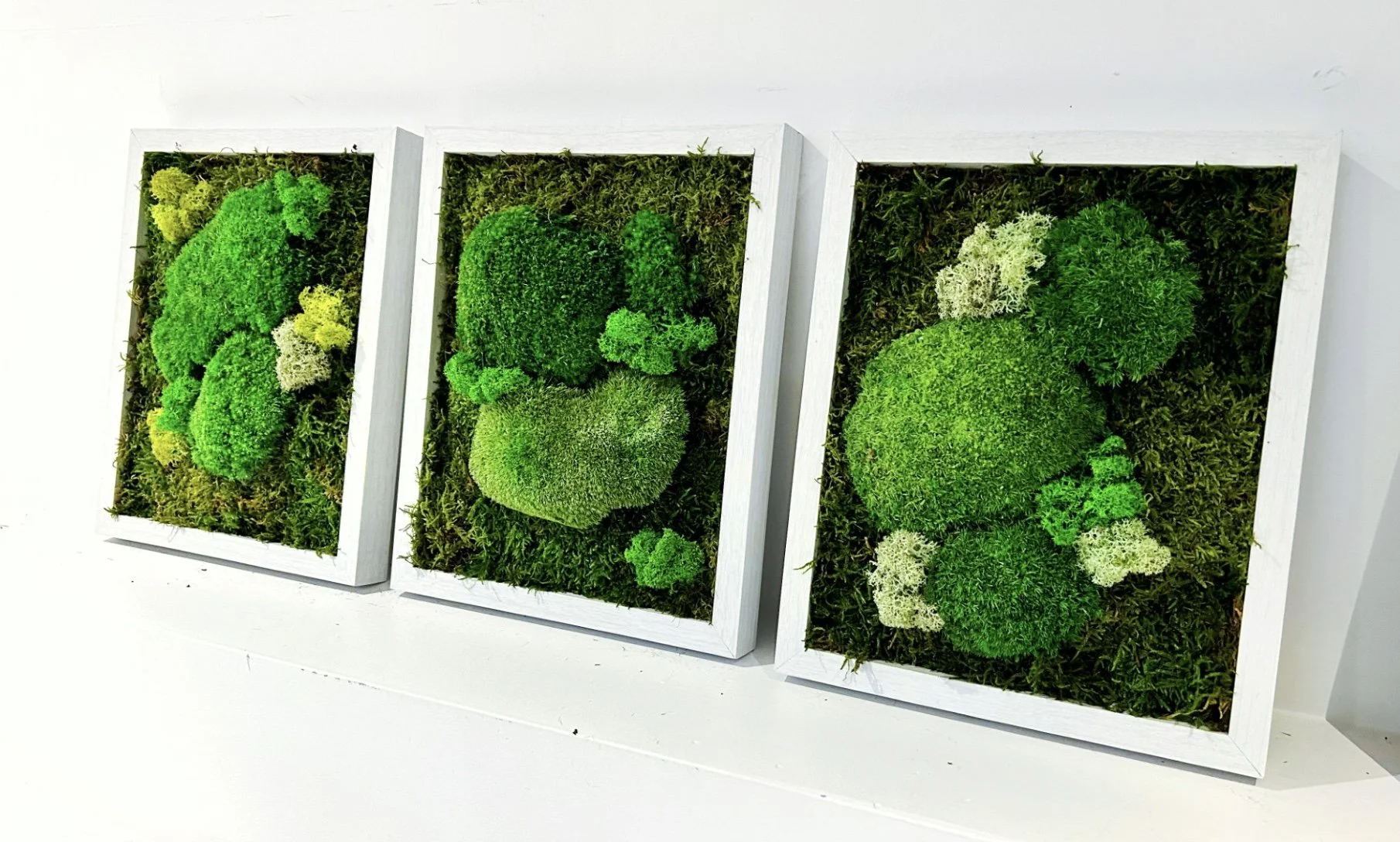 ATELIER CRÉATION ART MURAL VÉGÉTAL