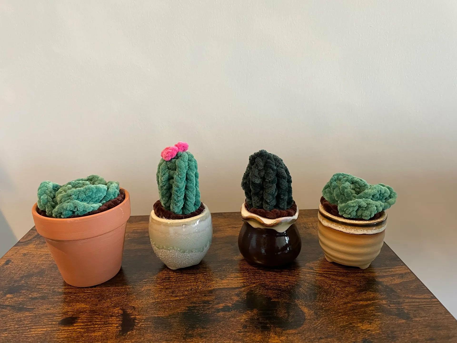 Annulé***ATELIER CACTUS POUR UNE BONNE CAUSE !