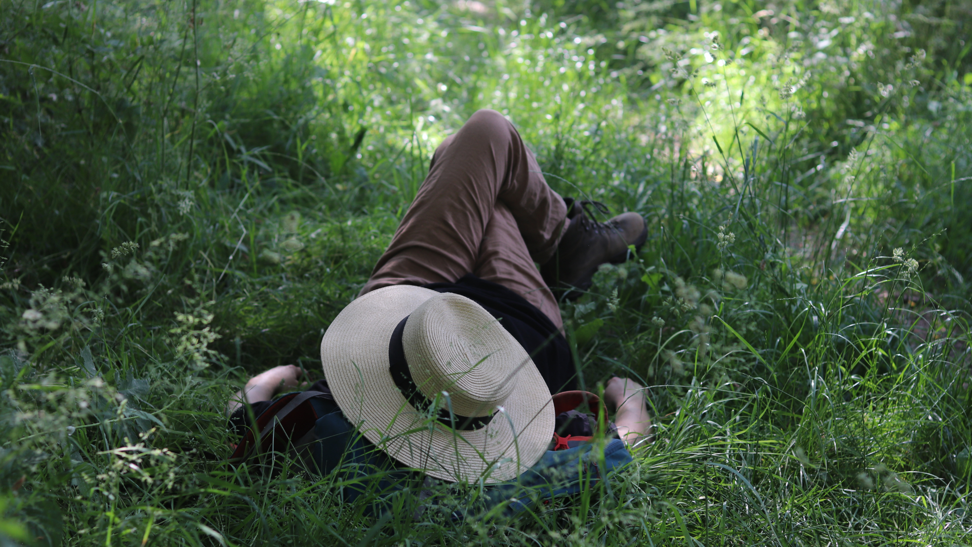 Saffron Trail: A Radical Pilgrimage