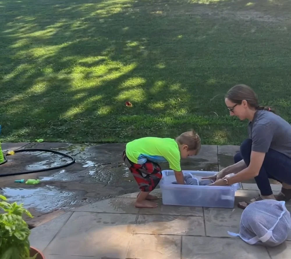 From Barn to Skein: My First Steps in Processing Alpaca Fiber