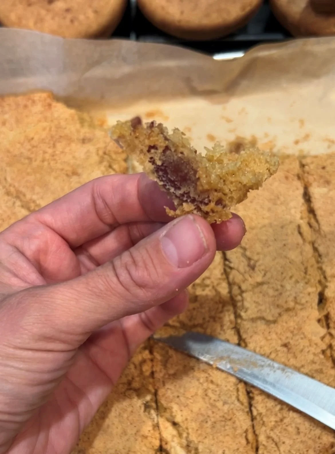 Date Strips Recipe 1.jpg