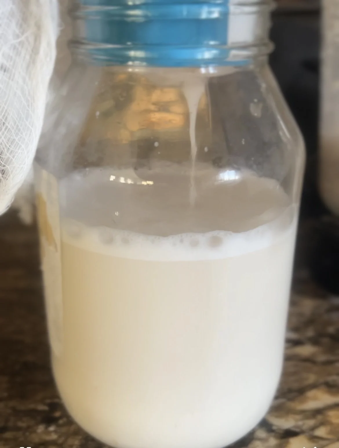 Homemade Almond Milk
