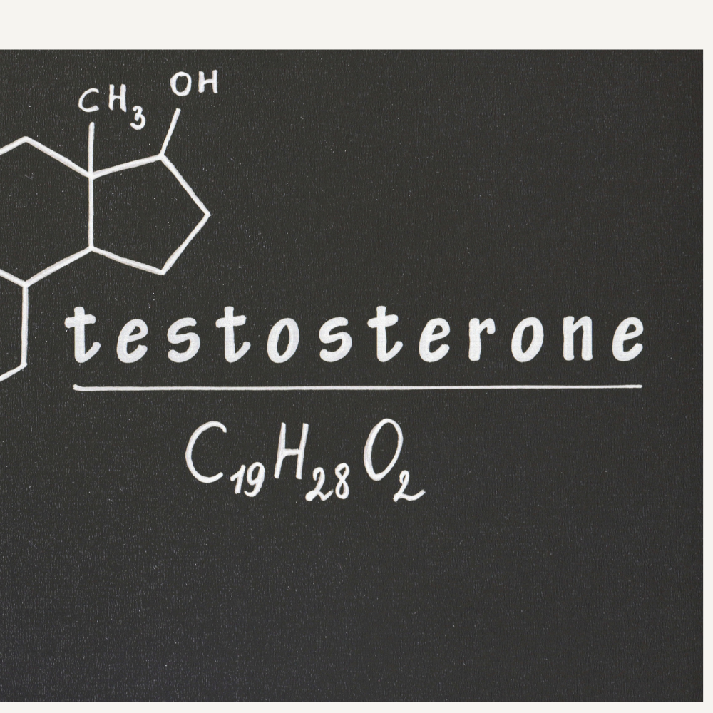 Testosterone in Menopause: Evidence, Guidelines, and Benefits for Women