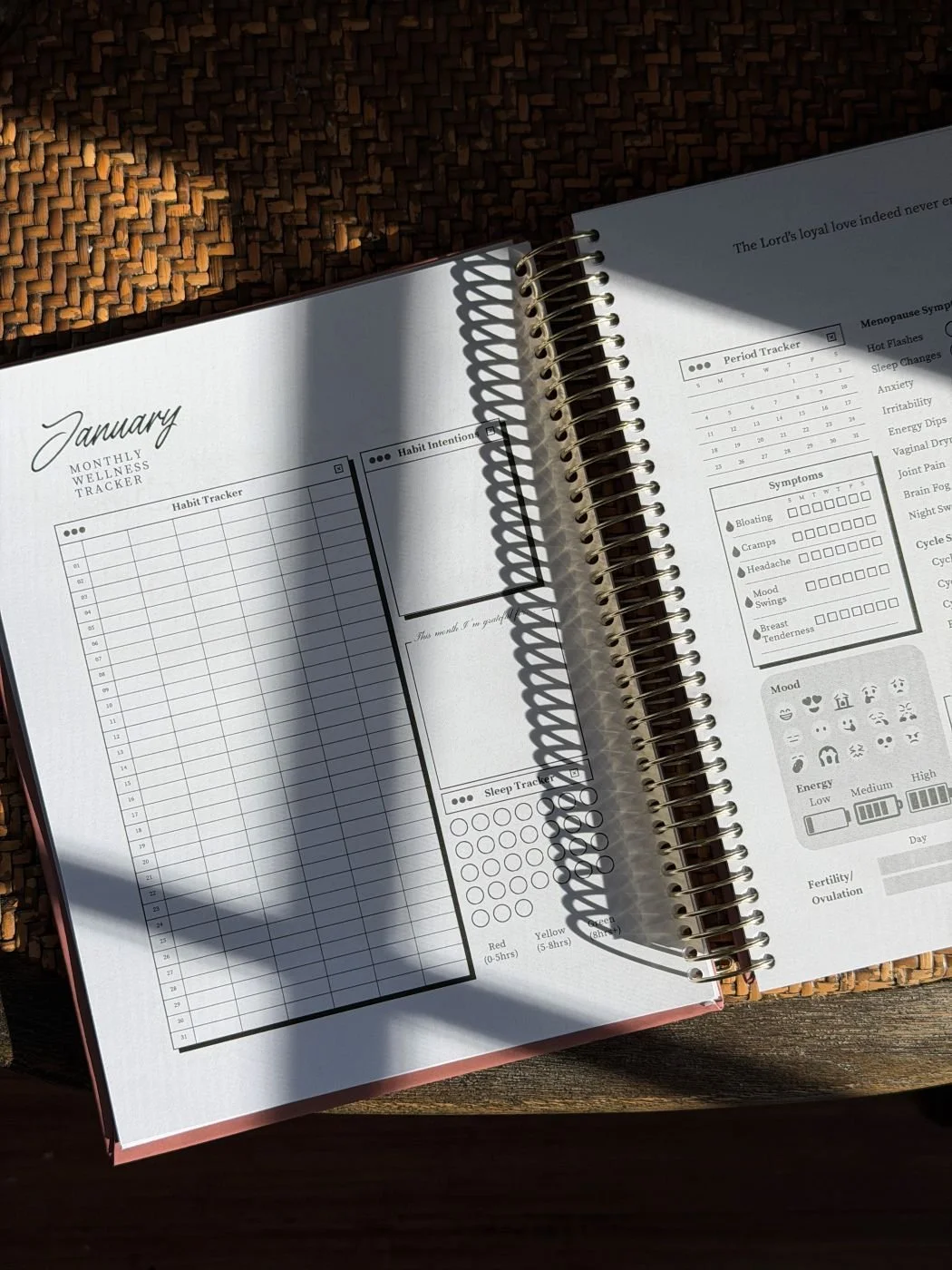 Catholic woman prayer wellness planner.jpg