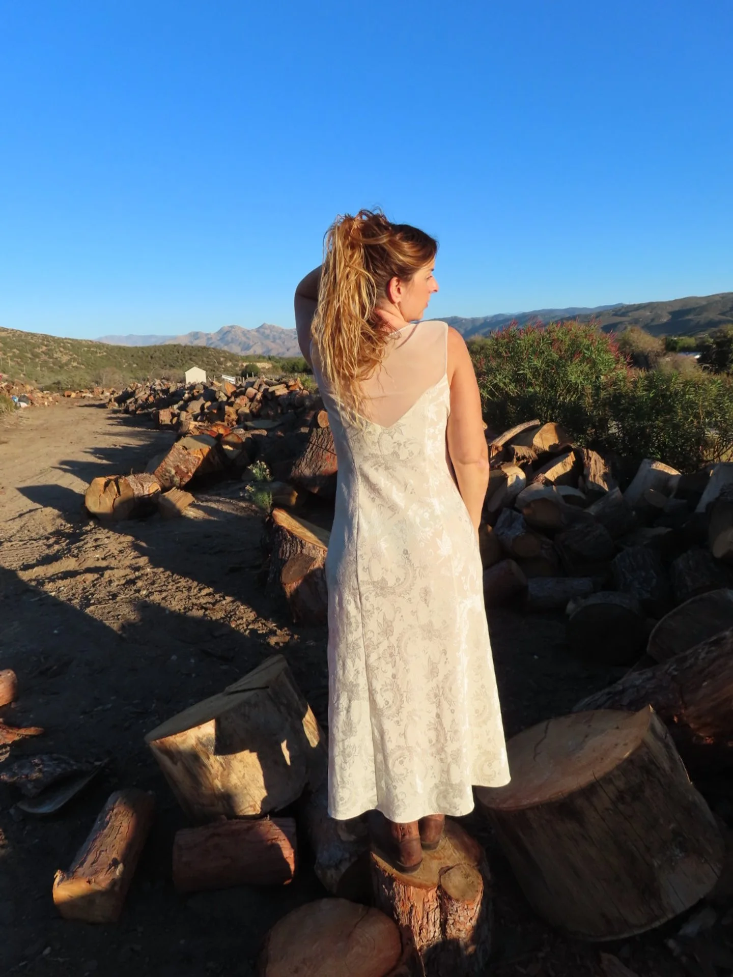 Vintage Victoria Secret Gold Label Dress