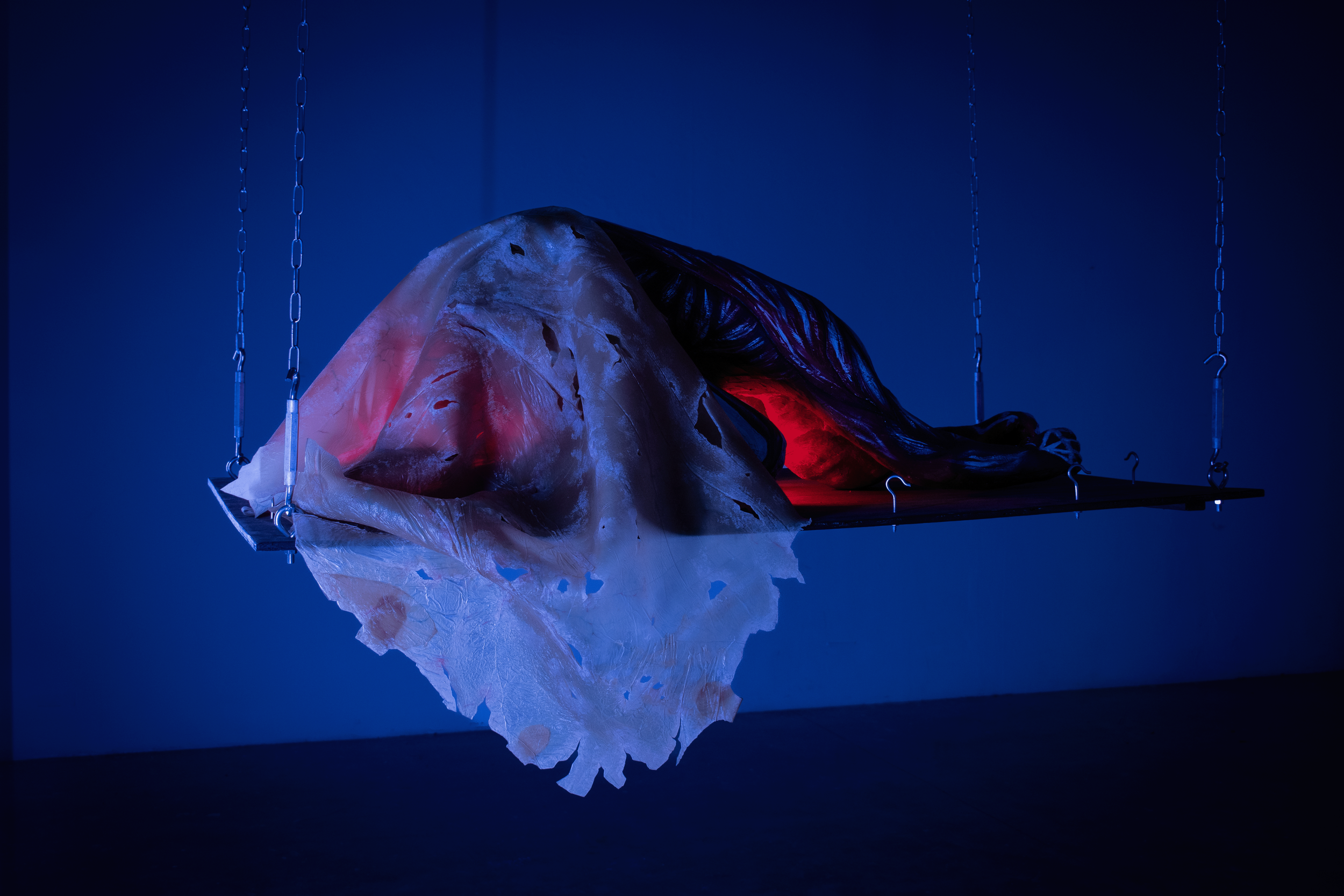 Side view suspended.png