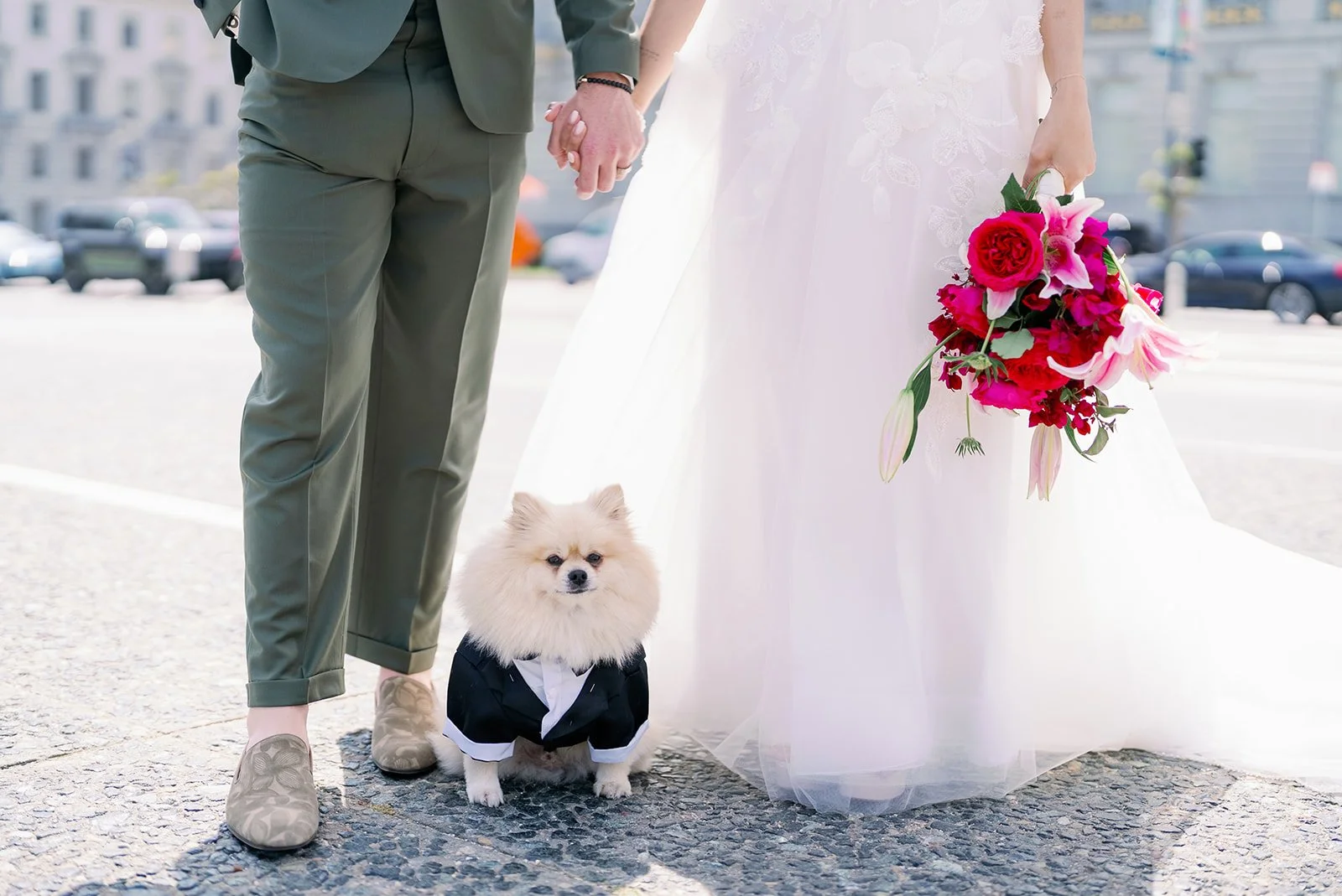 A couple dressed in wedding attire holding hands, with a small fluffy dog dressed in a tuxedo between them, holding a bouquet of pink, red, and white flowers.