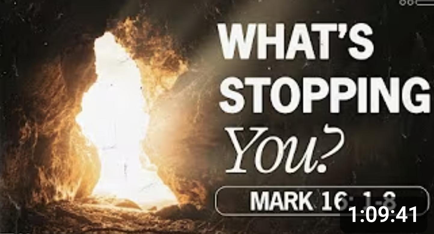 Ashamed, Afraid, or Bold? Pt 2