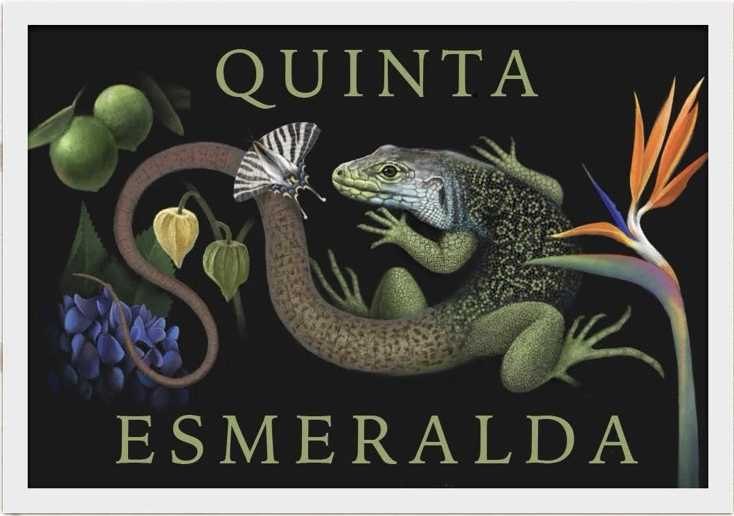Quinta Esmeralda is named after an endangered species of Emerald Green lizard which lives on the property