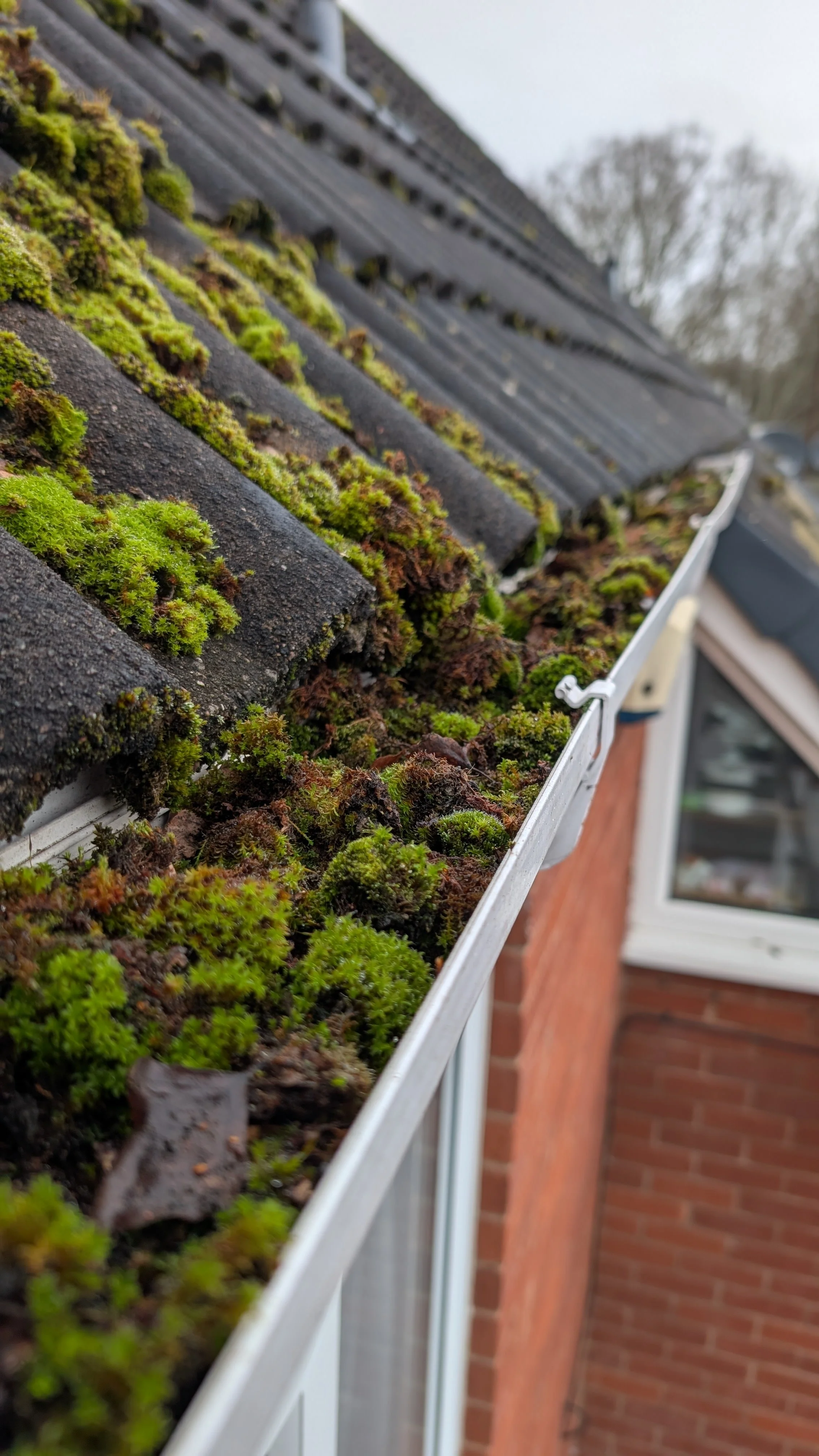 gutter 1.jpg