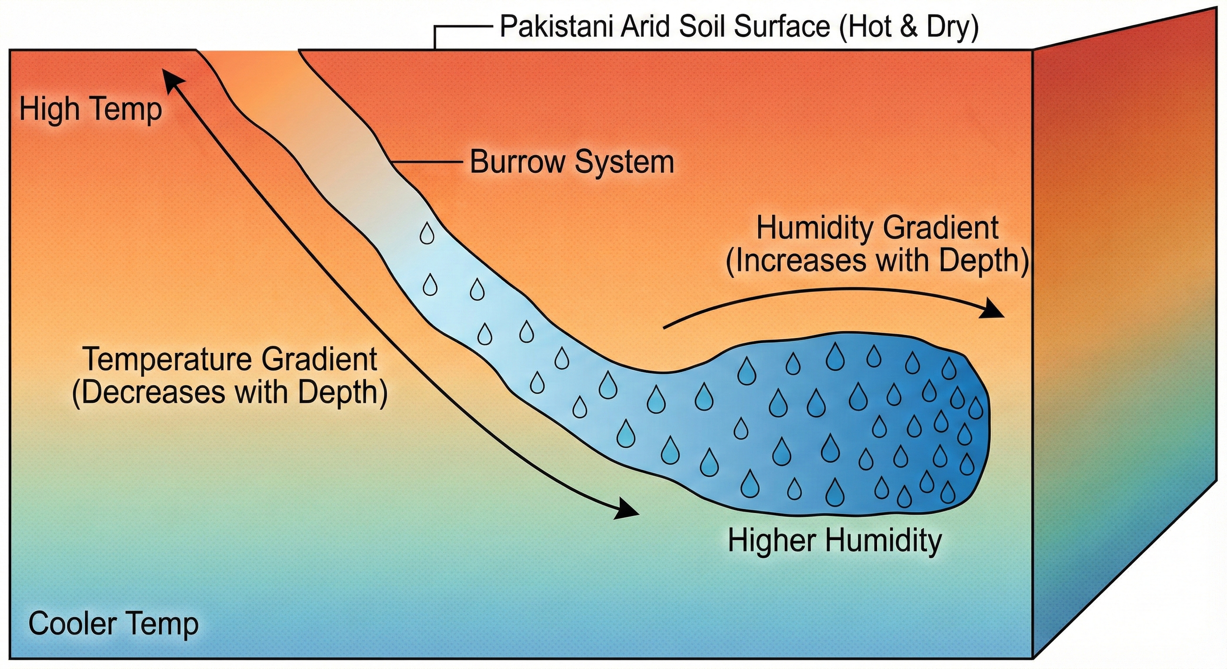Why Your Gecko’s Humid Hide Isn’t Working: The Science Behind Successful Sheds