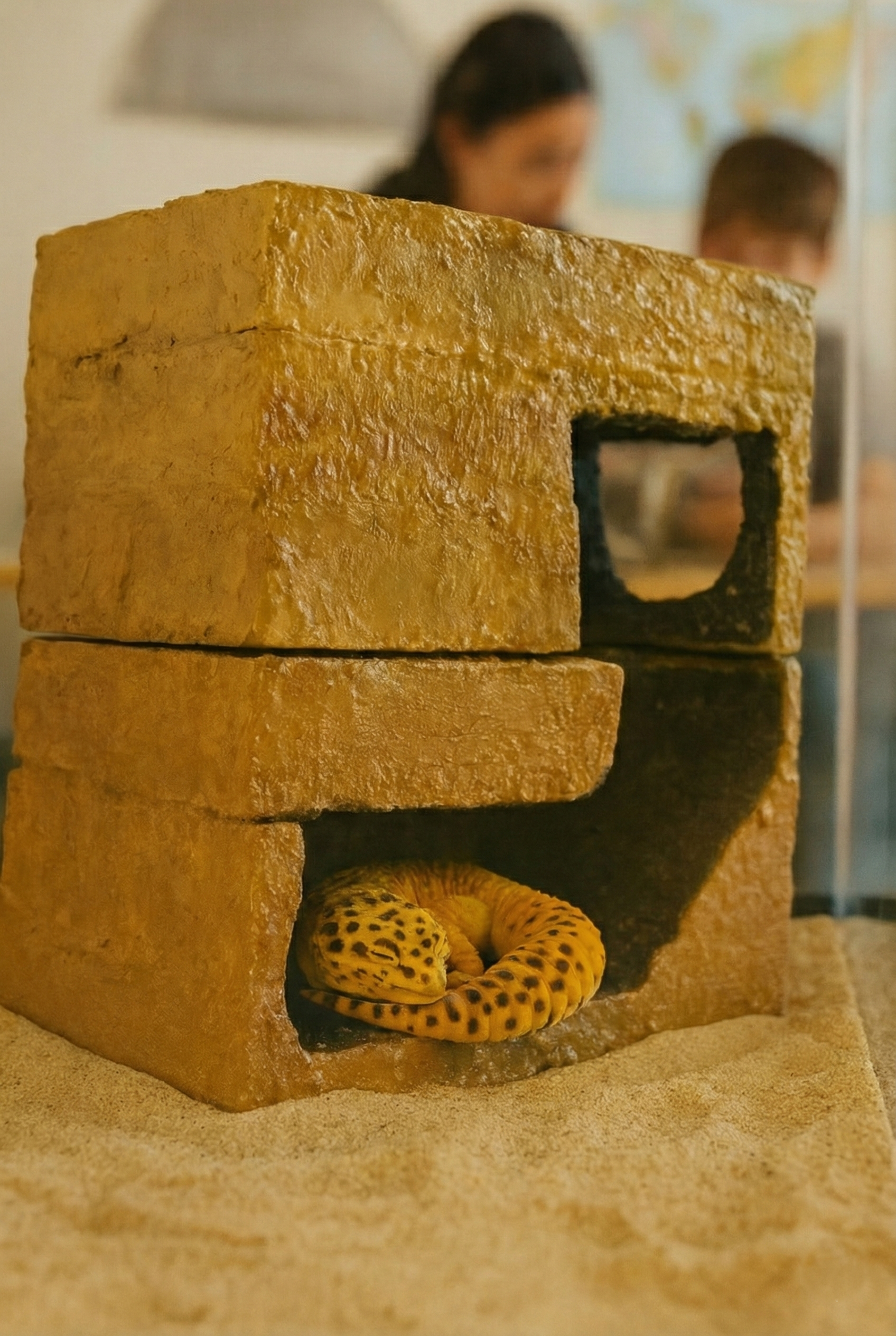 A leopard gecko curled up inside a hollow, rectangular brick enclosure on a sandy surface, with two people blurred in the background.