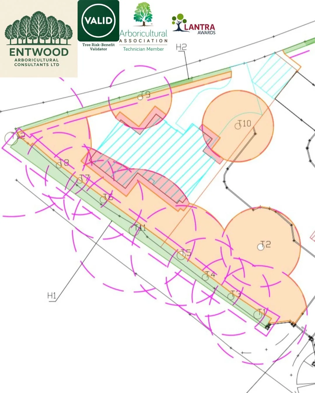 Planning a development near trees? You may need an Arboricultural Method Statement (AMS)  and fast.

Local planning authorities often require an AMS before or as a condition of granting planning permission where trees are a constraint on site. 

Why?