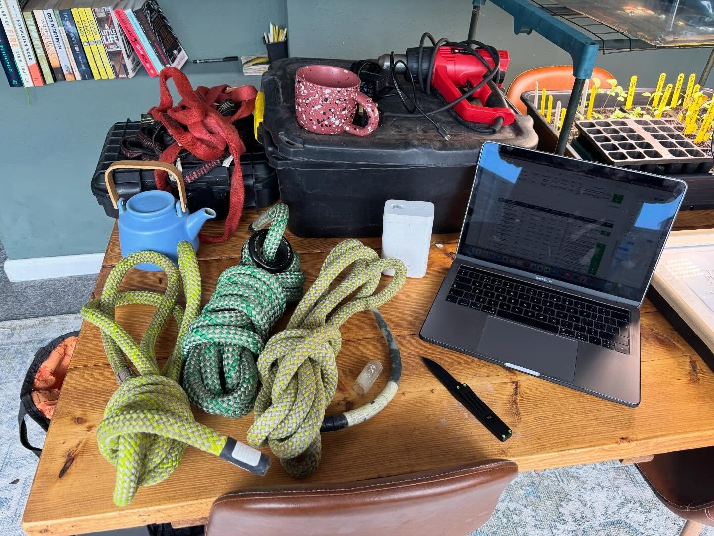 It&rsquo;s nice to be able to tailor your work load to the weather. It&rsquo;s pretty miserable outside so I&rsquo;m doing a thorough inspection from home #loler #arb #whywontitstopraining