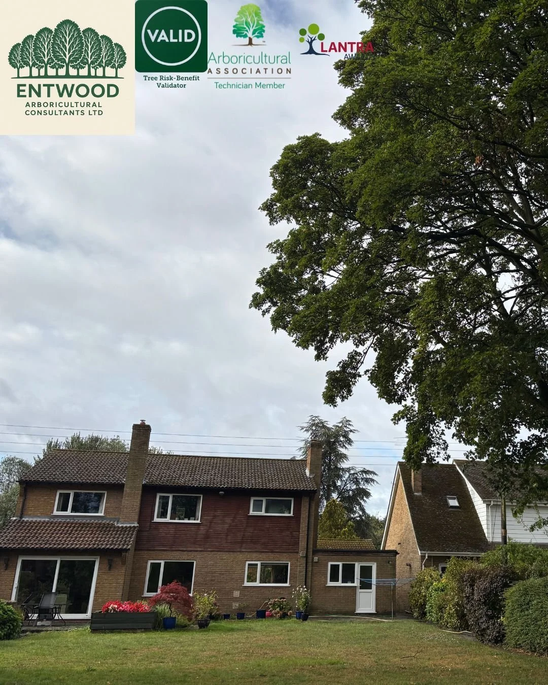 Buying a home near large or mature trees? Your mortgage lender might ask for an Arboricultural Homeowners Report.

When nearby trees raise concerns, whether due to size, species, or proximity to buildings lenders often require a professional assessme