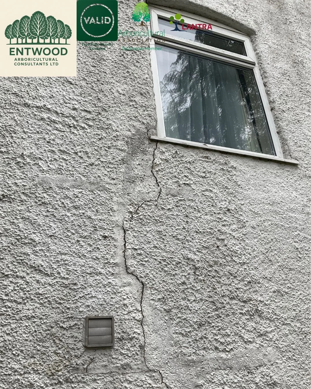 Concerned that trees may be contributing to property subsidence? An Arboricultural Subsidence Investigation Report could be essential.

When structural movement is suspected, particularly in shrinkable clay soils, mortgage lenders, insurers, or struc