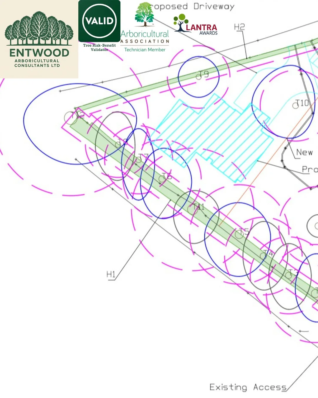 BS5837 TREE SURVEYS &ndash; PLAN SMART, BUILD WITH CONFIDENCE

If you&rsquo;re preparing a planning application and there are trees on or near your site, a BS5837 tree survey isn&rsquo;t just a formality, it&rsquo;s a foundation for success.

At ENTW