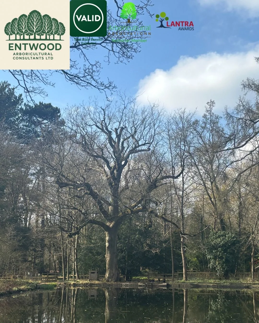 Are your trees safe, healthy, and fit for the future?

Tree ownership comes with responsibility. Whether you&rsquo;re a homeowner, land manager, or property developer, regular tree inspections are vital, not just to ensure public and property safety,